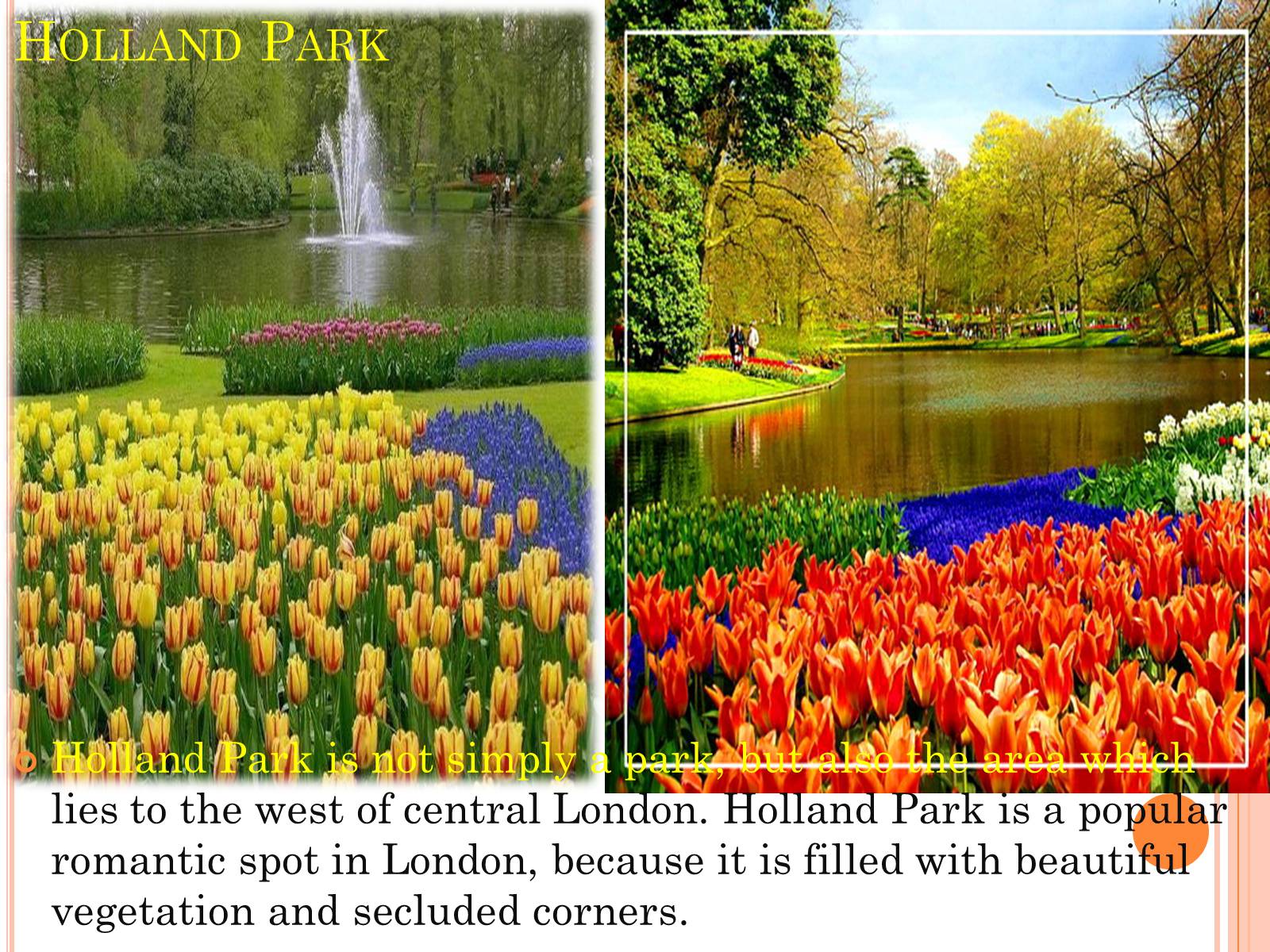 Презентація на тему «Parks and gardens in England» - Слайд #8 Презентація на тему «Parks and gardens in England» - Слайд #8