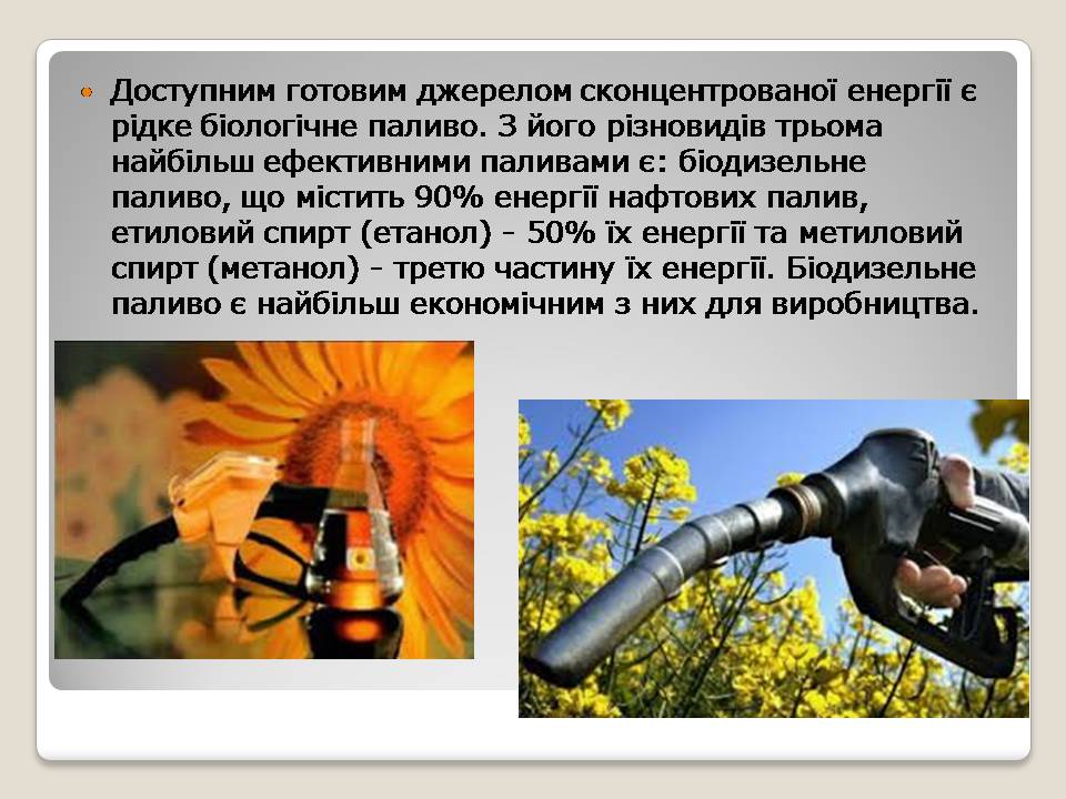 Презентація на тему «Альтернативні види палива» (варіант 6) - Слайд #8 Презентація на тему «Альтернативні види палива» (варіант 6) - Слайд #8