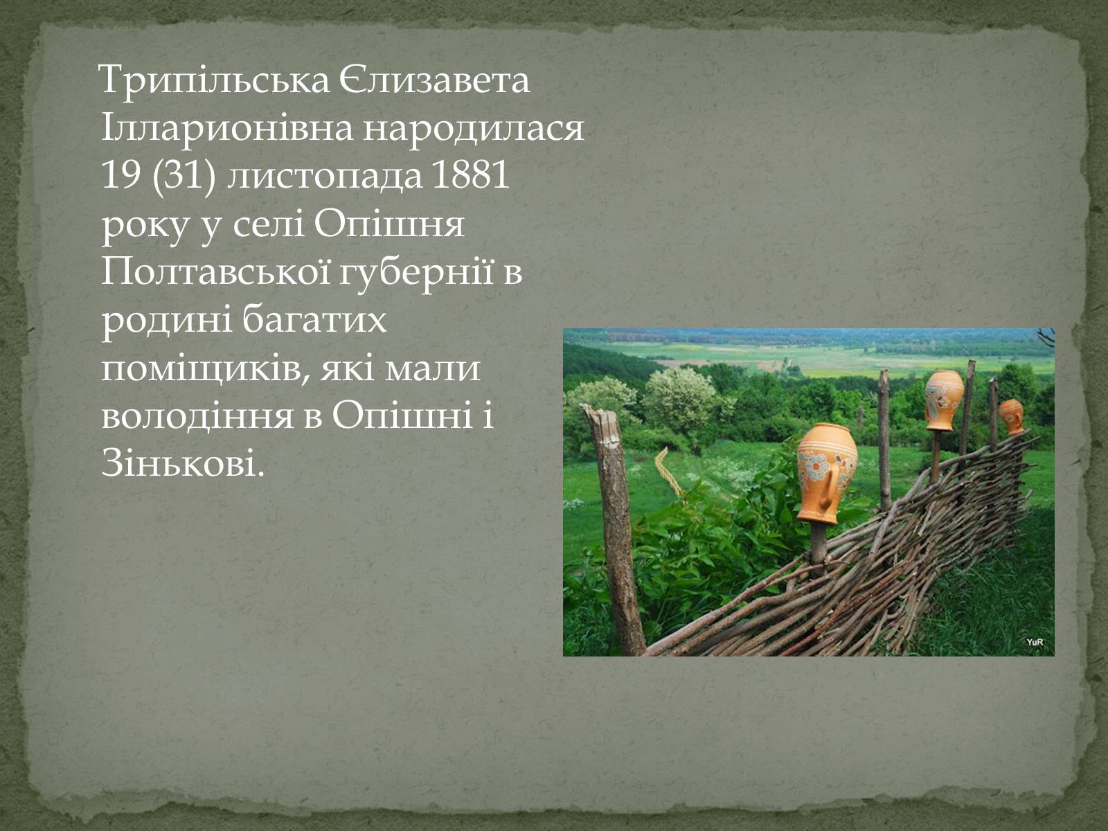 Презентація на тему «Трипільська Єлизавета Ілларионівна» - Слайд #2 Презентація на тему «Трипільська Єлизавета Ілларионівна» - Слайд #2
