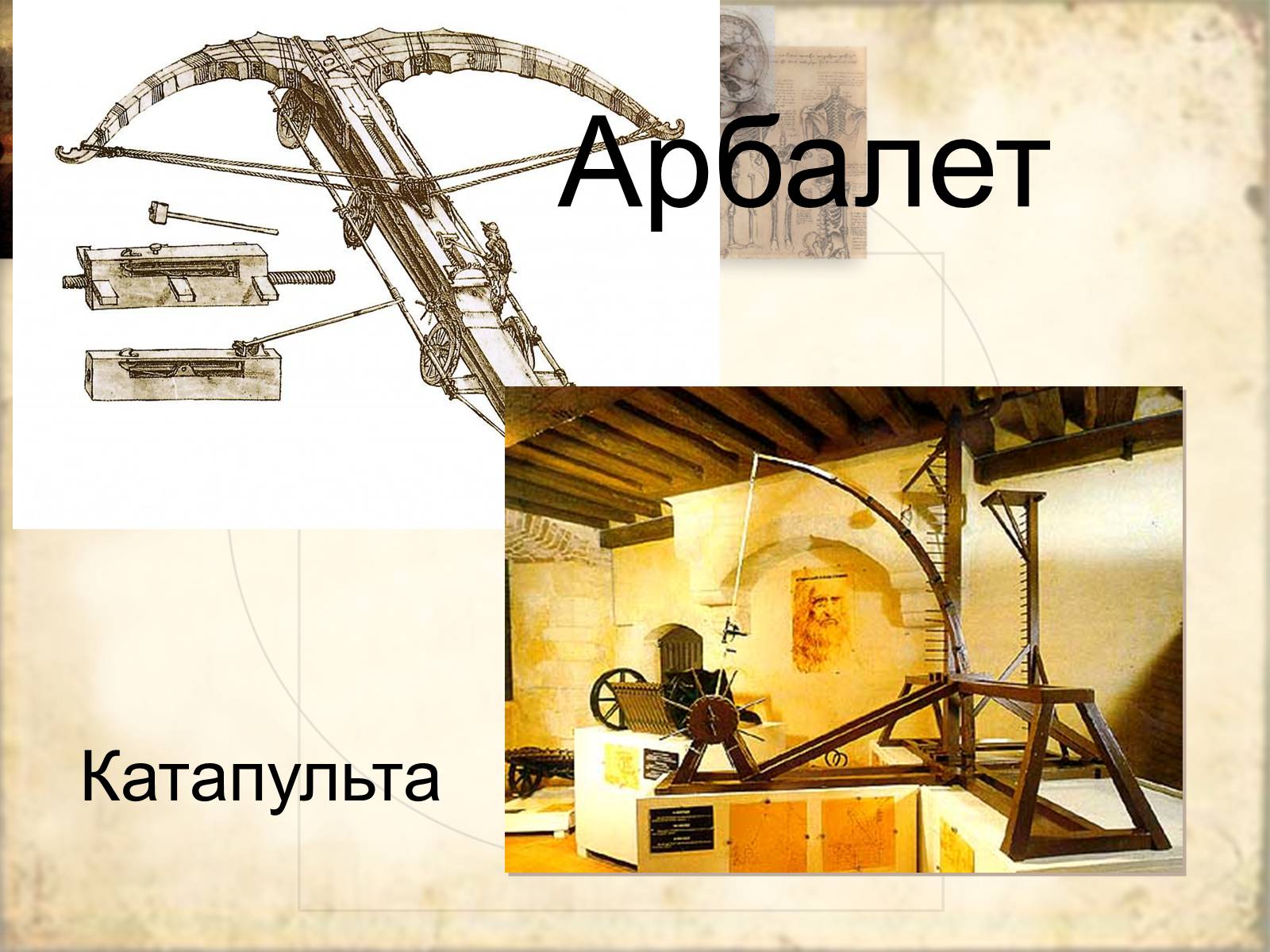 Презентація на тему «Леонардо да Вінчі» (варіант 21) - Слайд #9 Презентація на тему «Леонардо да Вінчі» (варіант 21) - Слайд #9