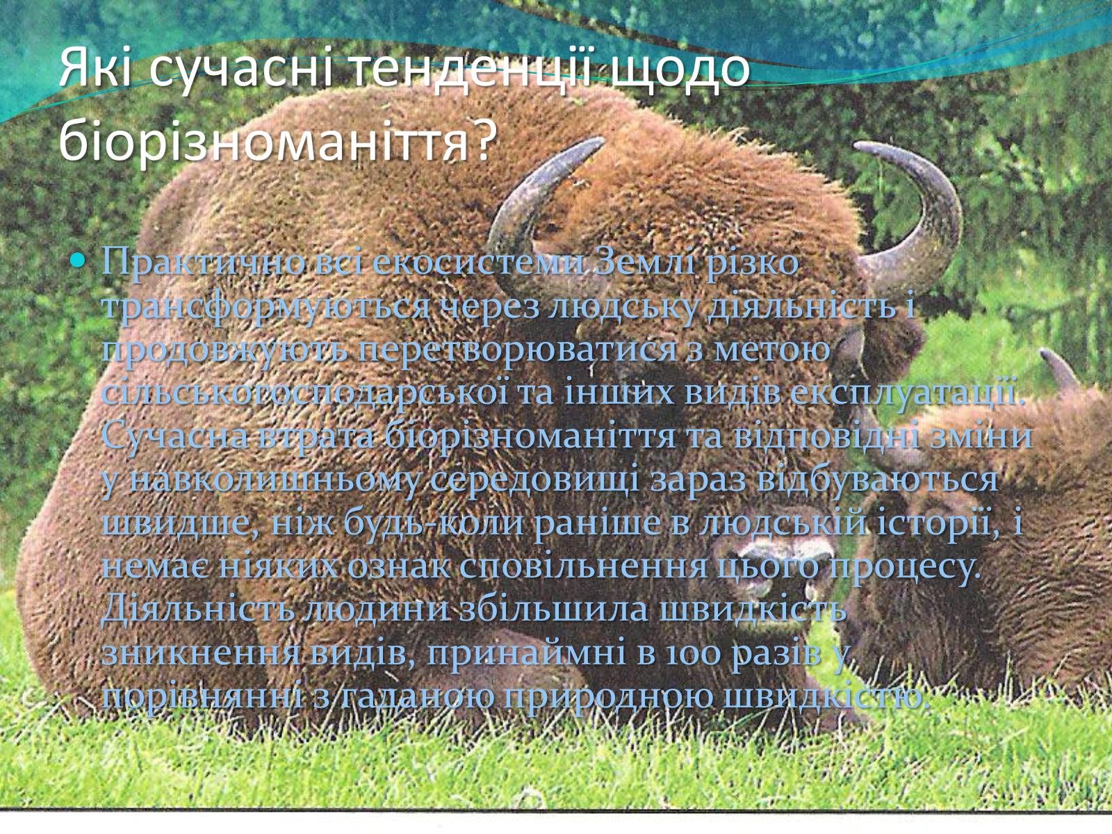 Презентація на тему «Екосистемне різноманіття» - Слайд #14 Презентація на тему «Екосистемне різноманіття» - Слайд #14