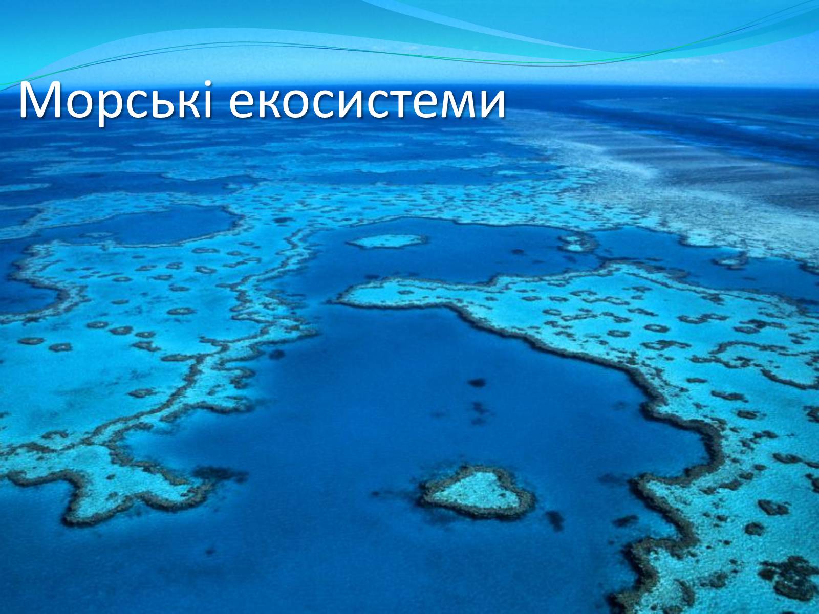 Презентація на тему «Екосистемне різноманіття» - Слайд #7 Презентація на тему «Екосистемне різноманіття» - Слайд #7