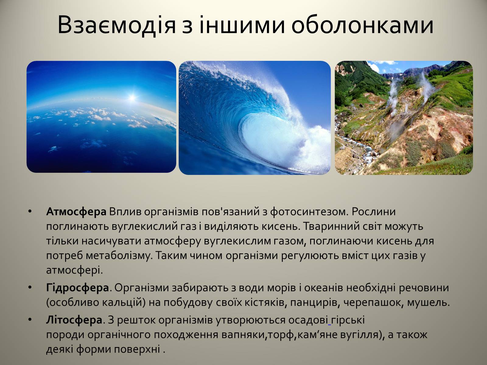 Презентація на тему «Біосфера» (варіант 4) - Слайд #12 Презентація на тему «Біосфера» (варіант 4) - Слайд #12