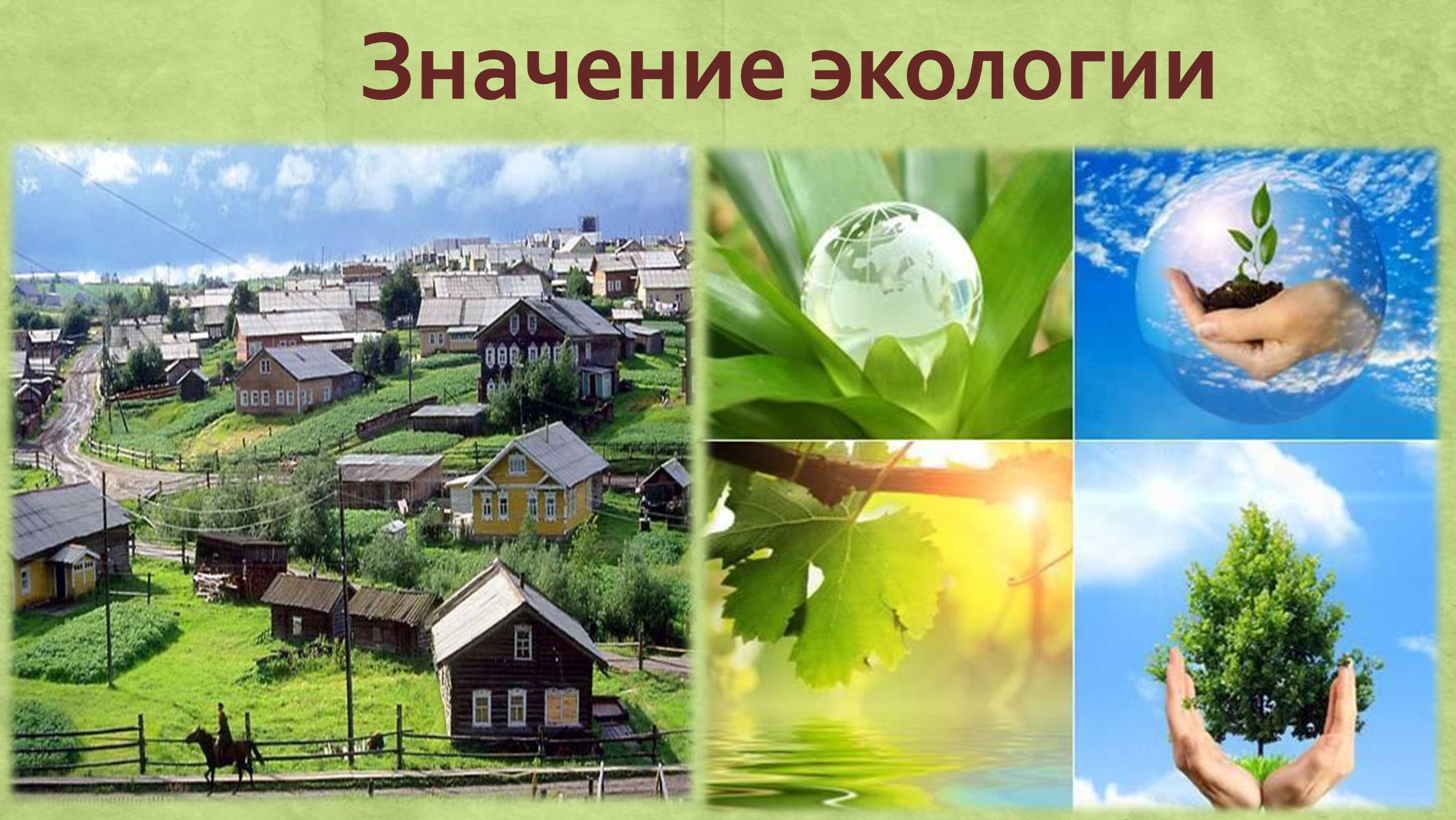 Презентація на тему «Экология как наука» - Слайд #7