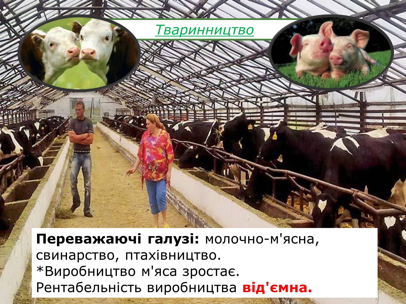 Презентація на тему «Економіка Дніпропетровської області» - Слайд #17 Презентація на тему «Економіка Дніпропетровської області» - Слайд #17