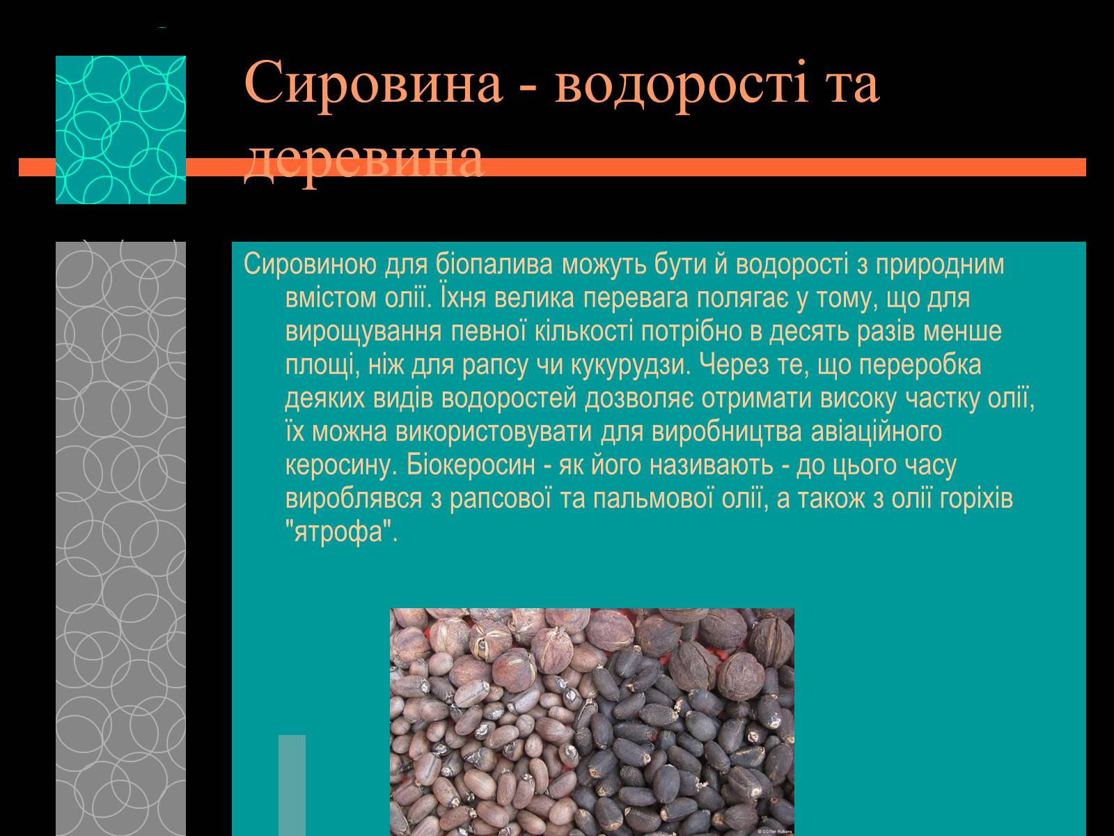 Презентація на тему «Майбутнє альтернативного палива» (варіант 1) - Слайд #10 Презентація на тему «Майбутнє альтернативного палива» (варіант 1) - Слайд #10