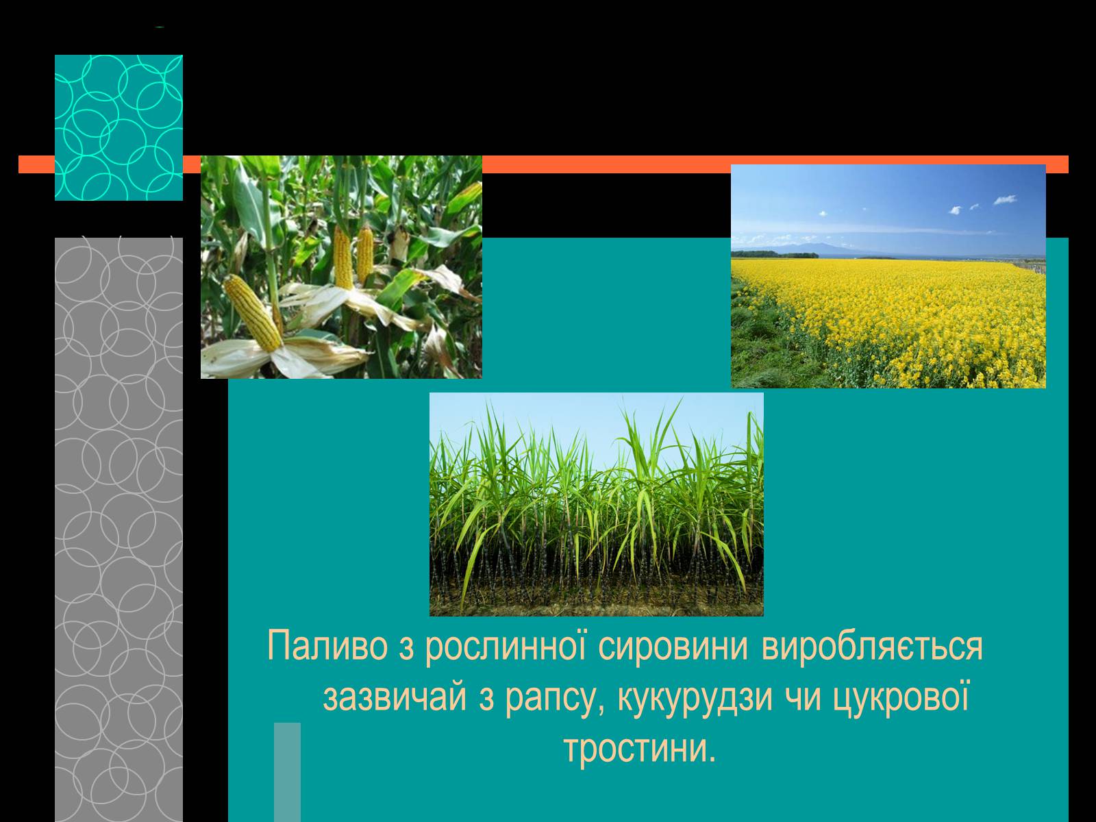 Презентація на тему «Майбутнє альтернативного палива» (варіант 1) - Слайд #7 Презентація на тему «Майбутнє альтернативного палива» (варіант 1) - Слайд #7