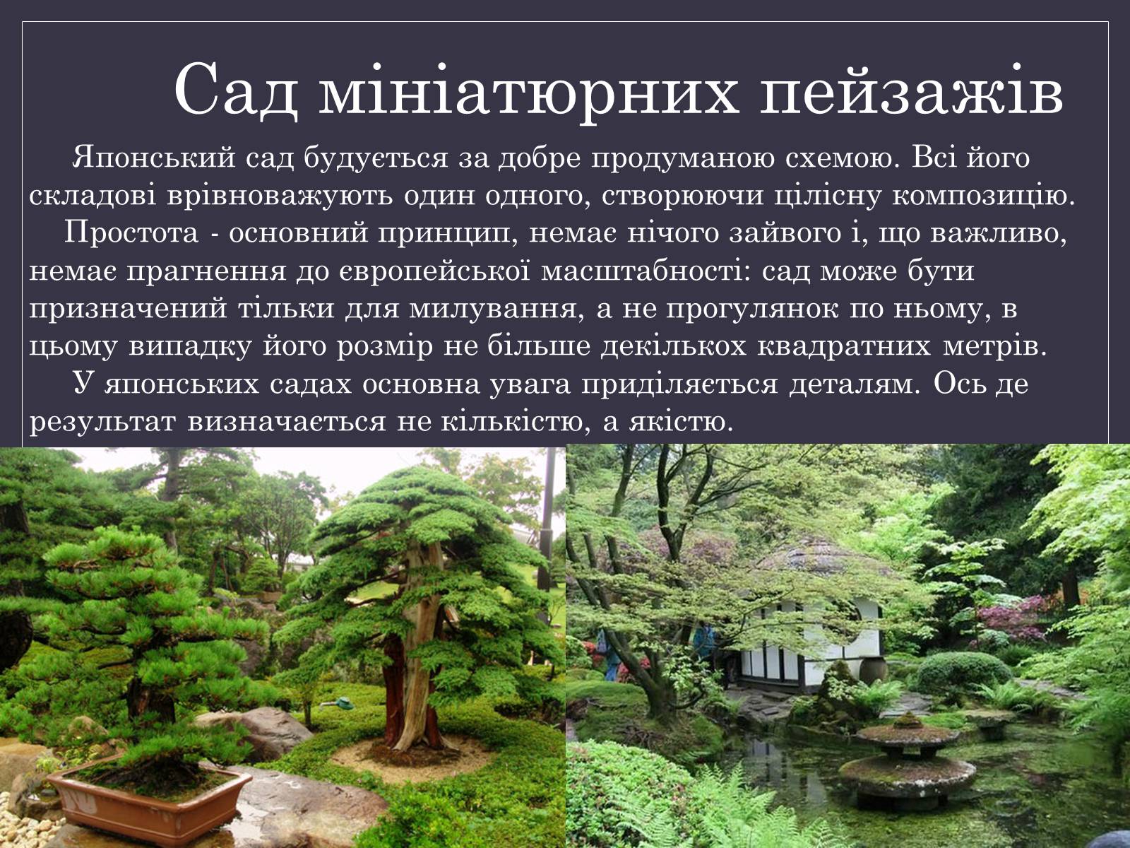 Презентація на тему «Паркова культура» (варіант 13) - Слайд #8 Презентація на тему «Паркова культура» (варіант 13) - Слайд #8