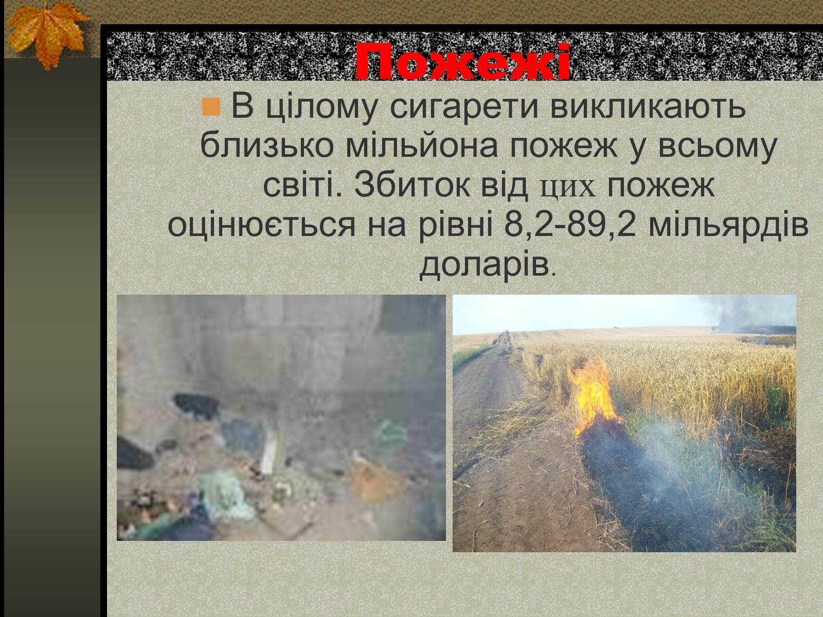 Презентація на тему «Негативний вплив тютюну на довкілля» - Слайд #10 Презентація на тему «Негативний вплив тютюну на довкілля» - Слайд #10