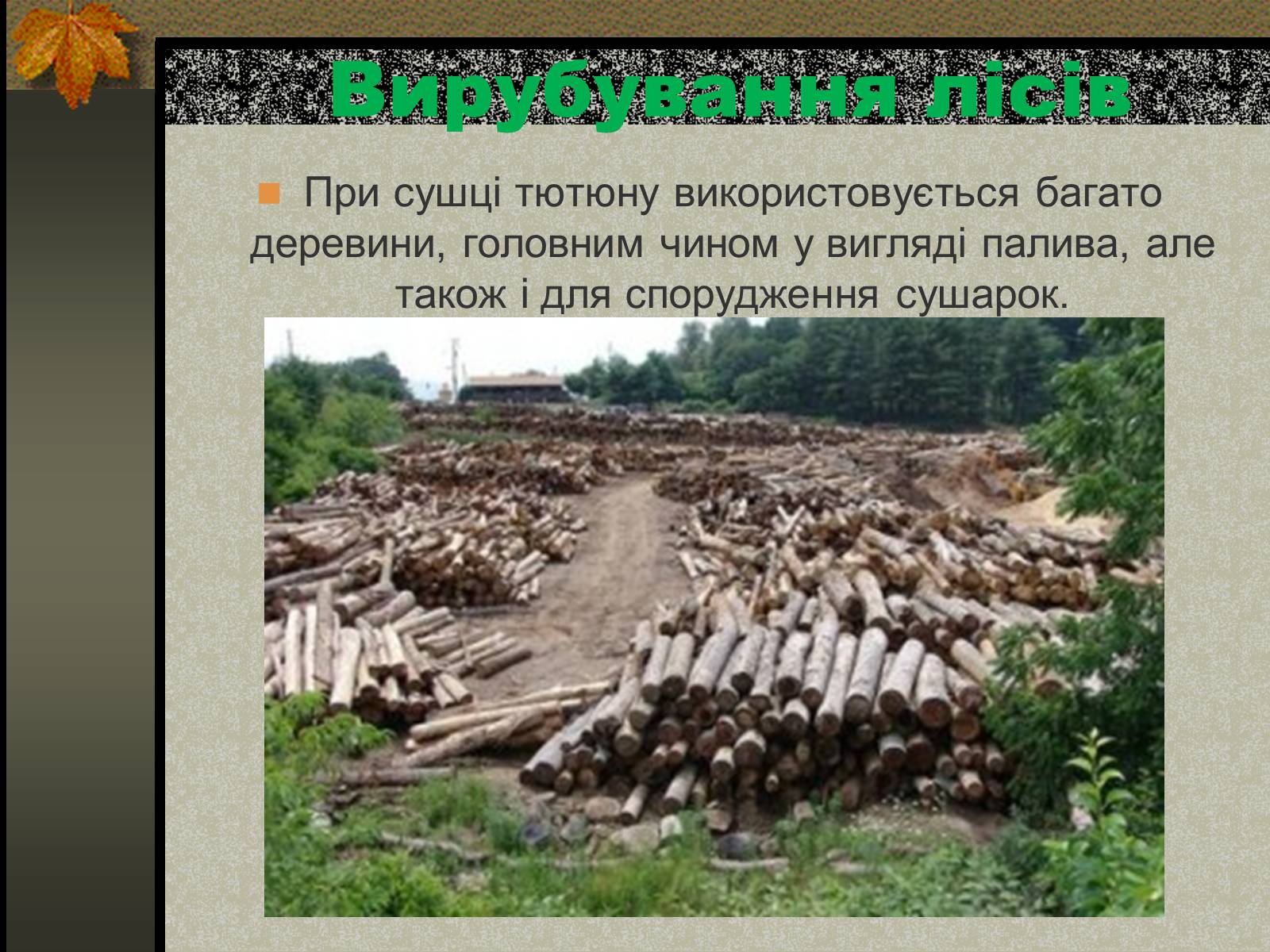 Презентація на тему «Негативний вплив тютюну на довкілля» - Слайд #3 Презентація на тему «Негативний вплив тютюну на довкілля» - Слайд #3