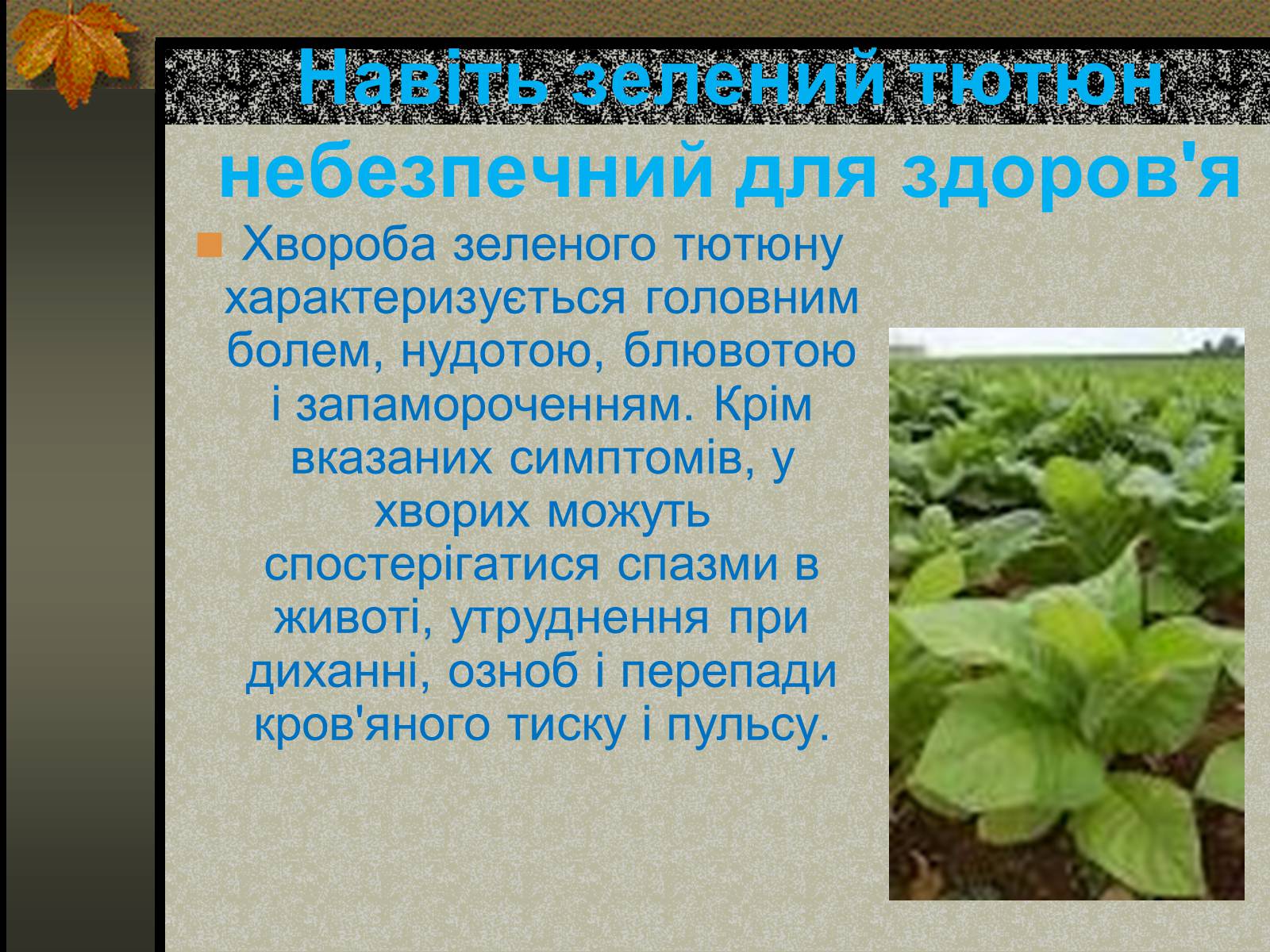 Презентація на тему «Негативний вплив тютюну на довкілля» - Слайд #6 Презентація на тему «Негативний вплив тютюну на довкілля» - Слайд #6