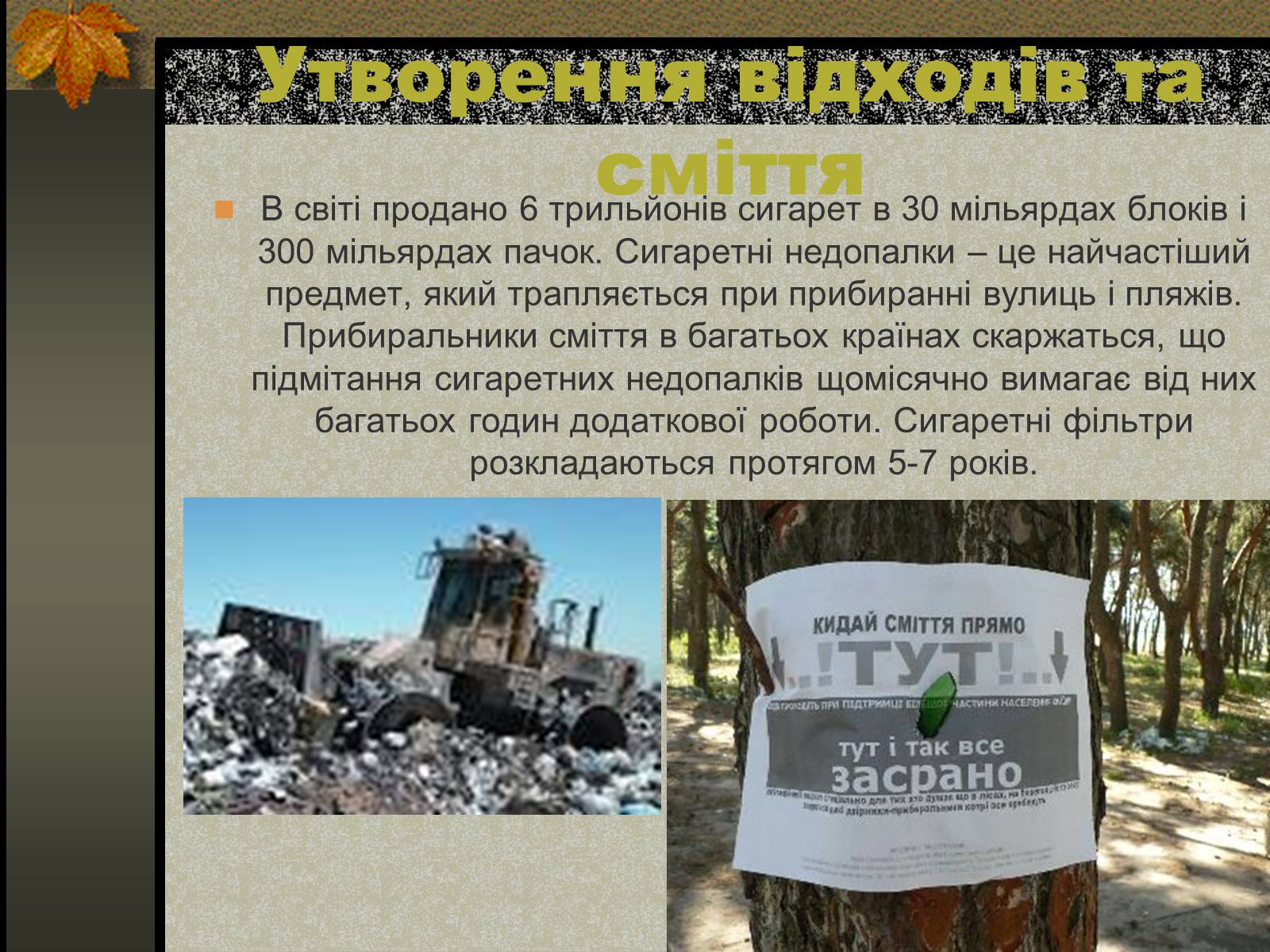 Презентація на тему «Негативний вплив тютюну на довкілля» - Слайд #8 Презентація на тему «Негативний вплив тютюну на довкілля» - Слайд #8