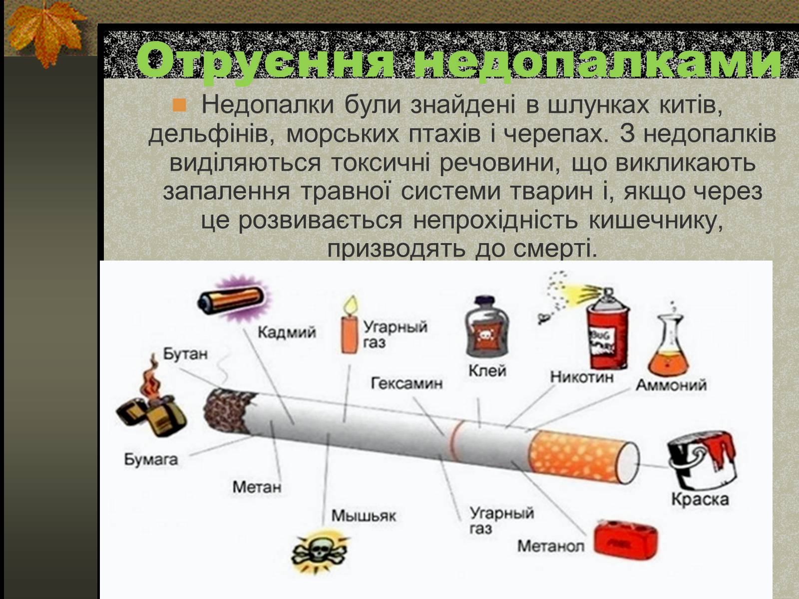 Презентація на тему «Негативний вплив тютюну на довкілля» - Слайд #9 Презентація на тему «Негативний вплив тютюну на довкілля» - Слайд #9