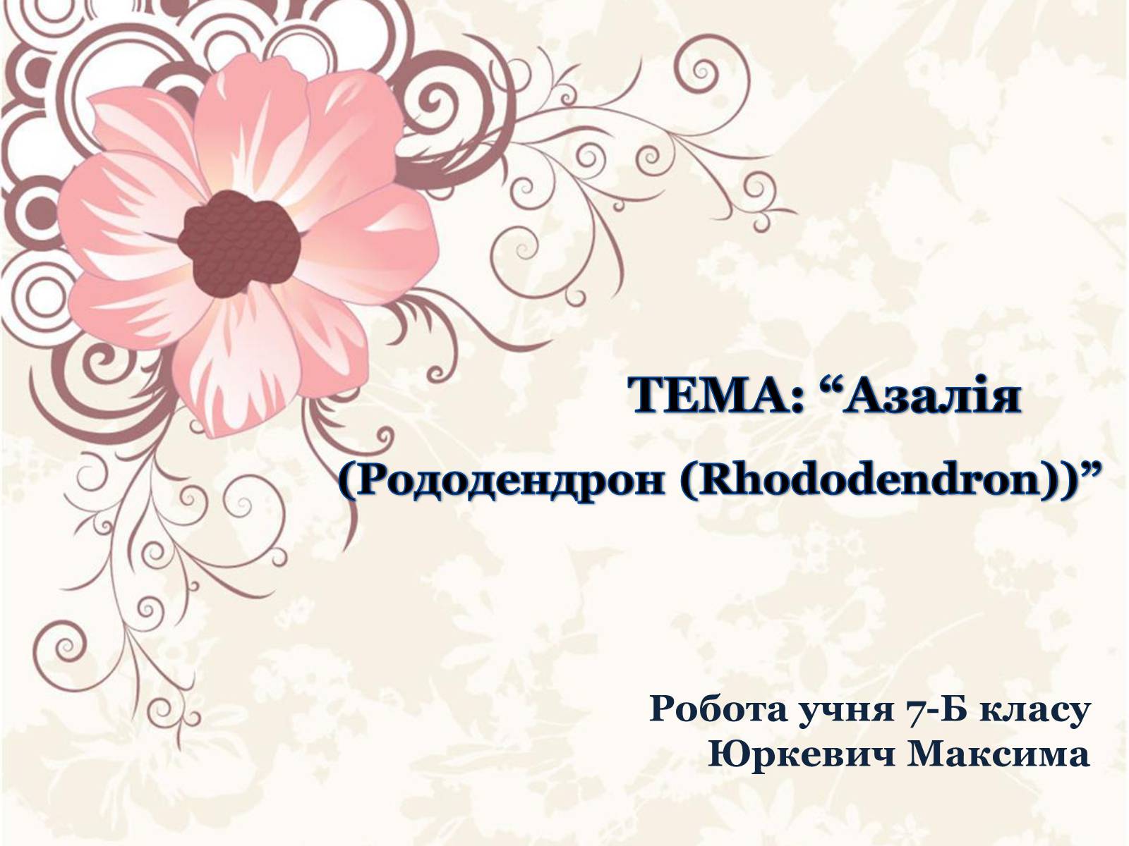 Презентація на тему «Азалія» - Слайд #1 Презентація на тему «Азалія» - Слайд #1