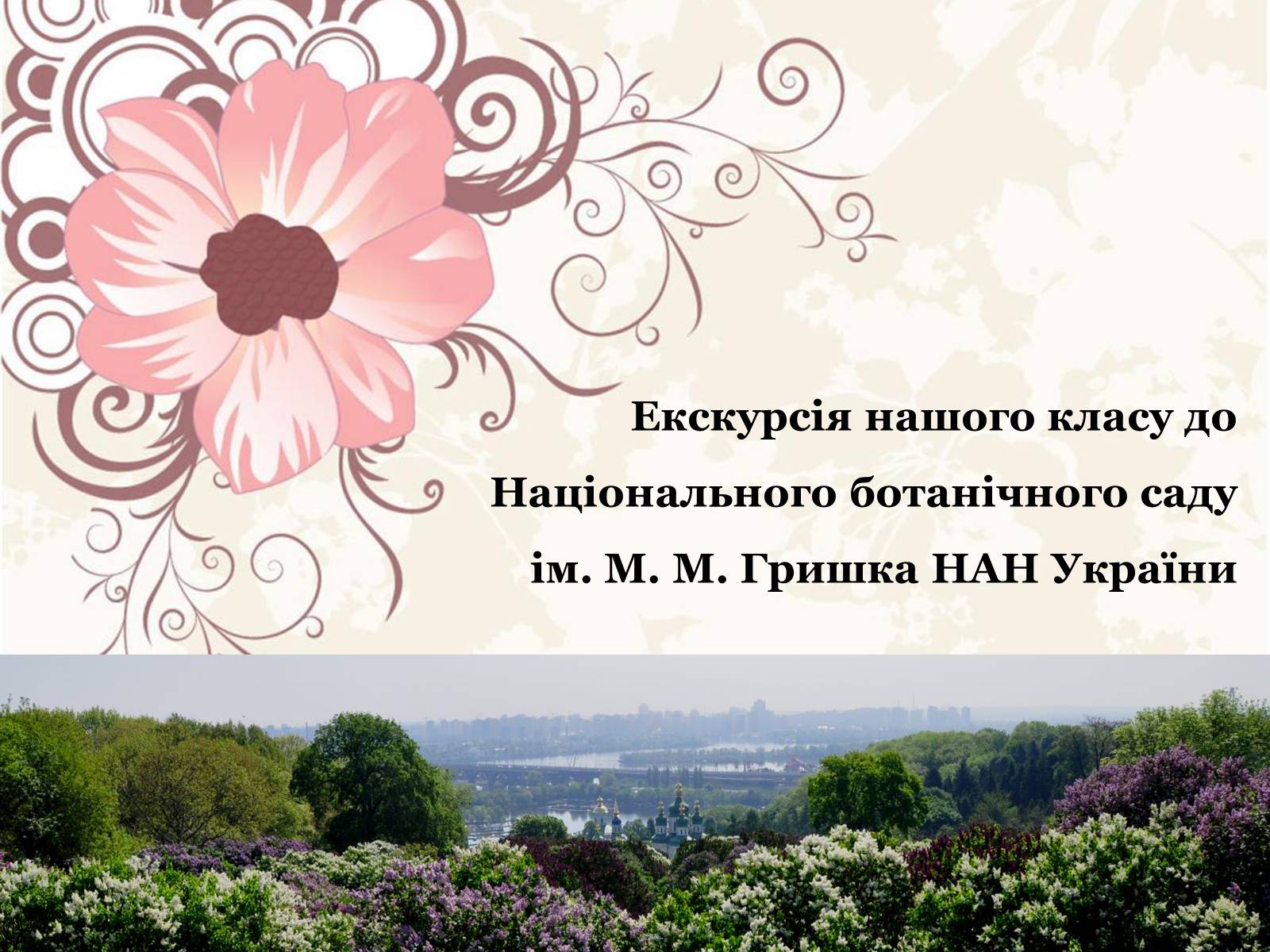 Презентація на тему «Азалія» - Слайд #2 Презентація на тему «Азалія» - Слайд #2