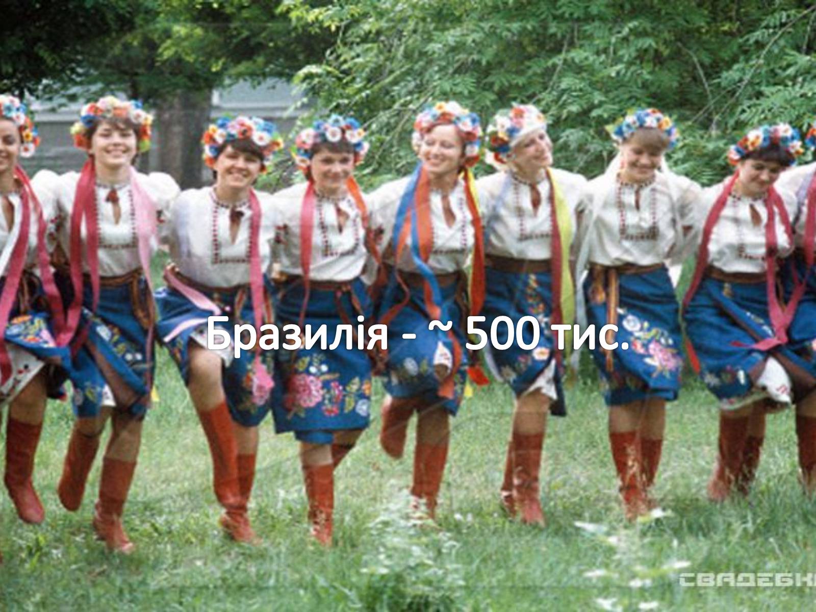Презентація на тему «Причини утворення української діаспори» - Слайд #13 Презентація на тему «Причини утворення української діаспори» - Слайд #13
