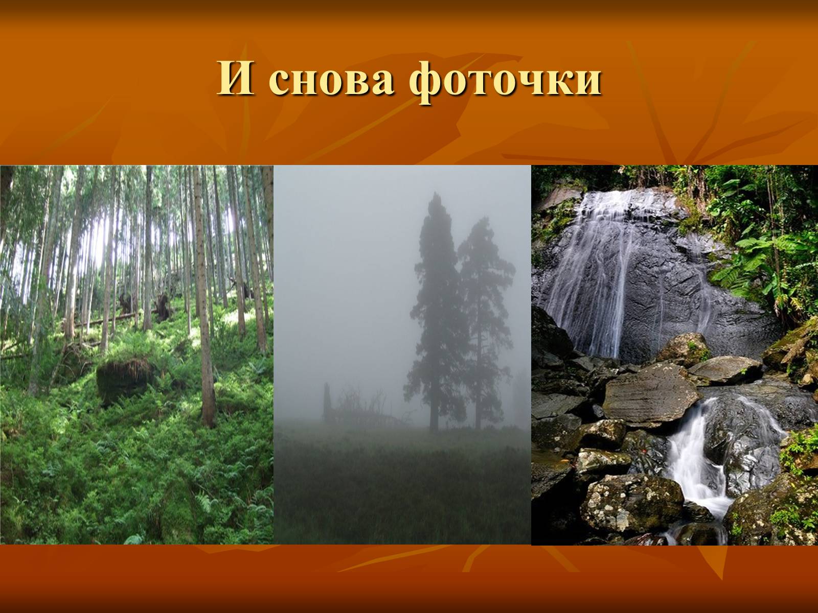 Презентація на тему «Исторические места ФРГ» - Слайд #5 Презентація на тему «Исторические места ФРГ» - Слайд #5