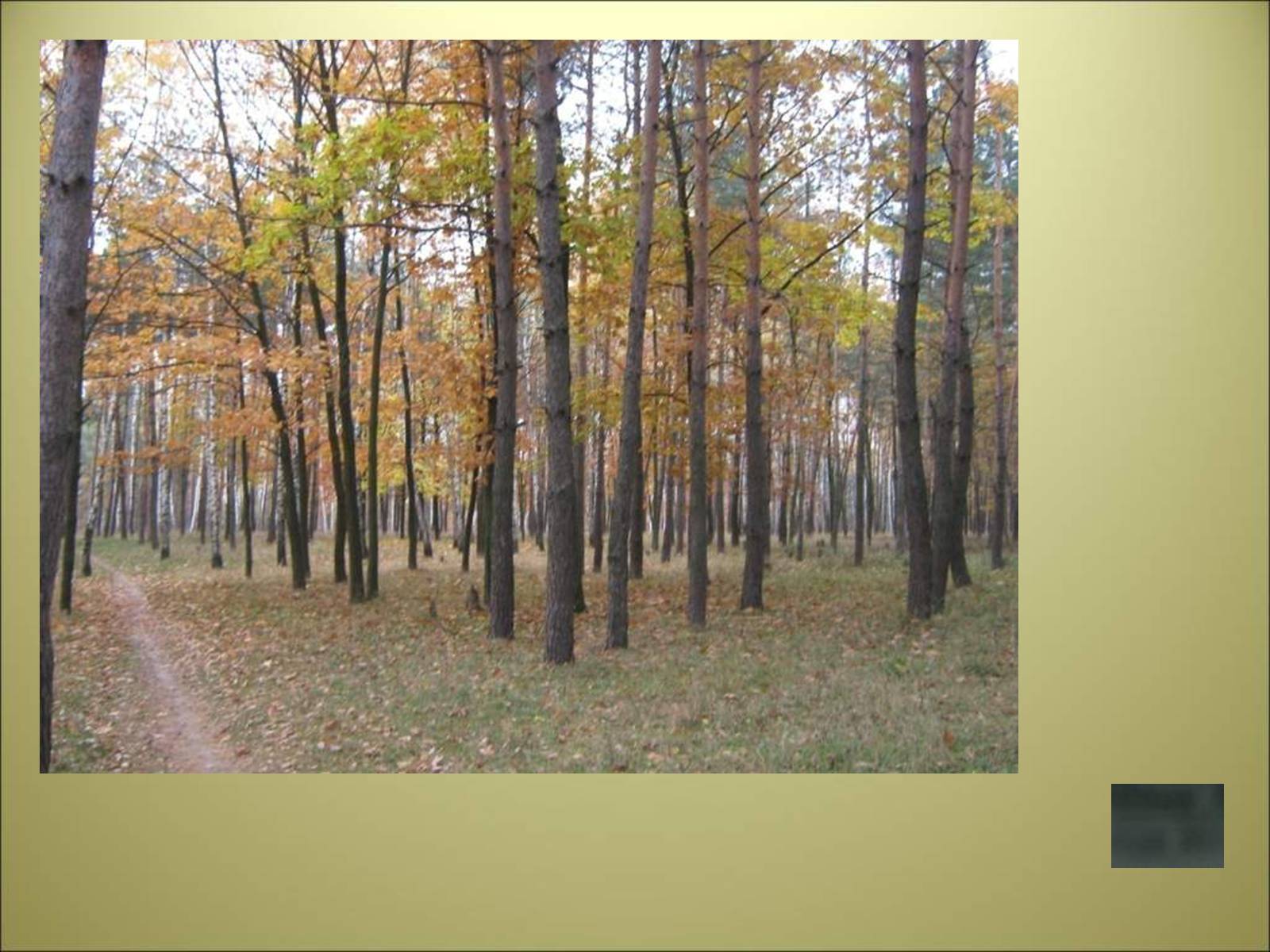 Презентація на тему «Es herbstet schon» - Слайд #4 Презентація на тему «Es herbstet schon» - Слайд #4