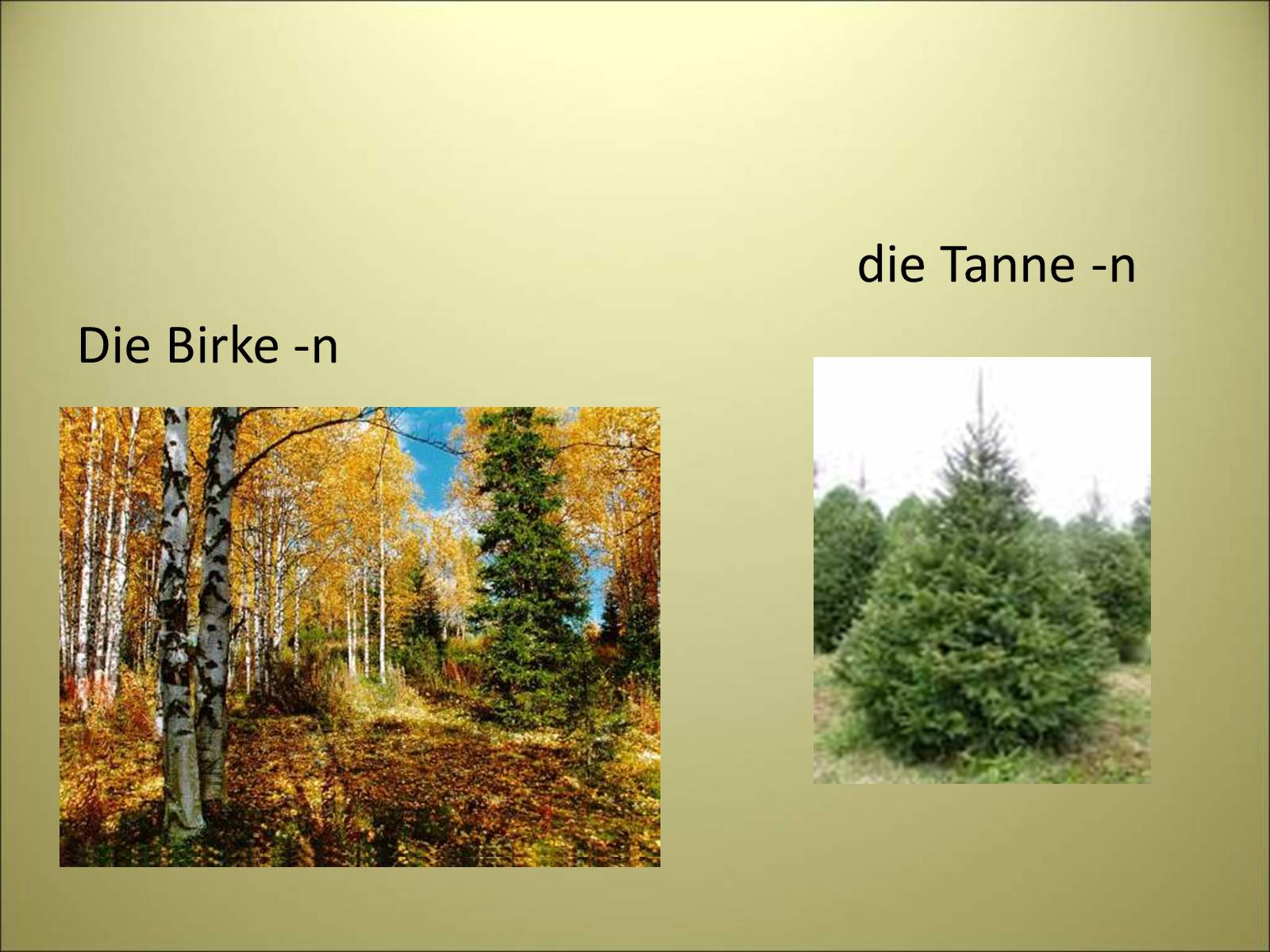 Презентація на тему «Es herbstet schon» - Слайд #9 Презентація на тему «Es herbstet schon» - Слайд #9