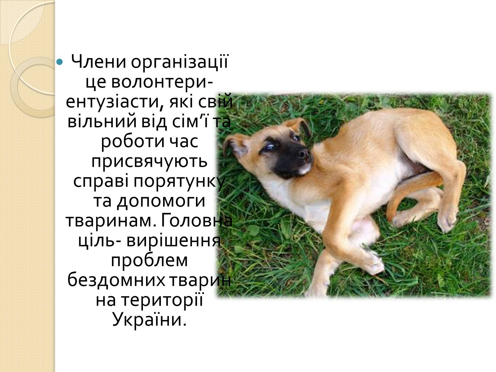 Презентація на тему «Громадські організації» - Слайд #12 Презентація на тему «Громадські організації» - Слайд #12
