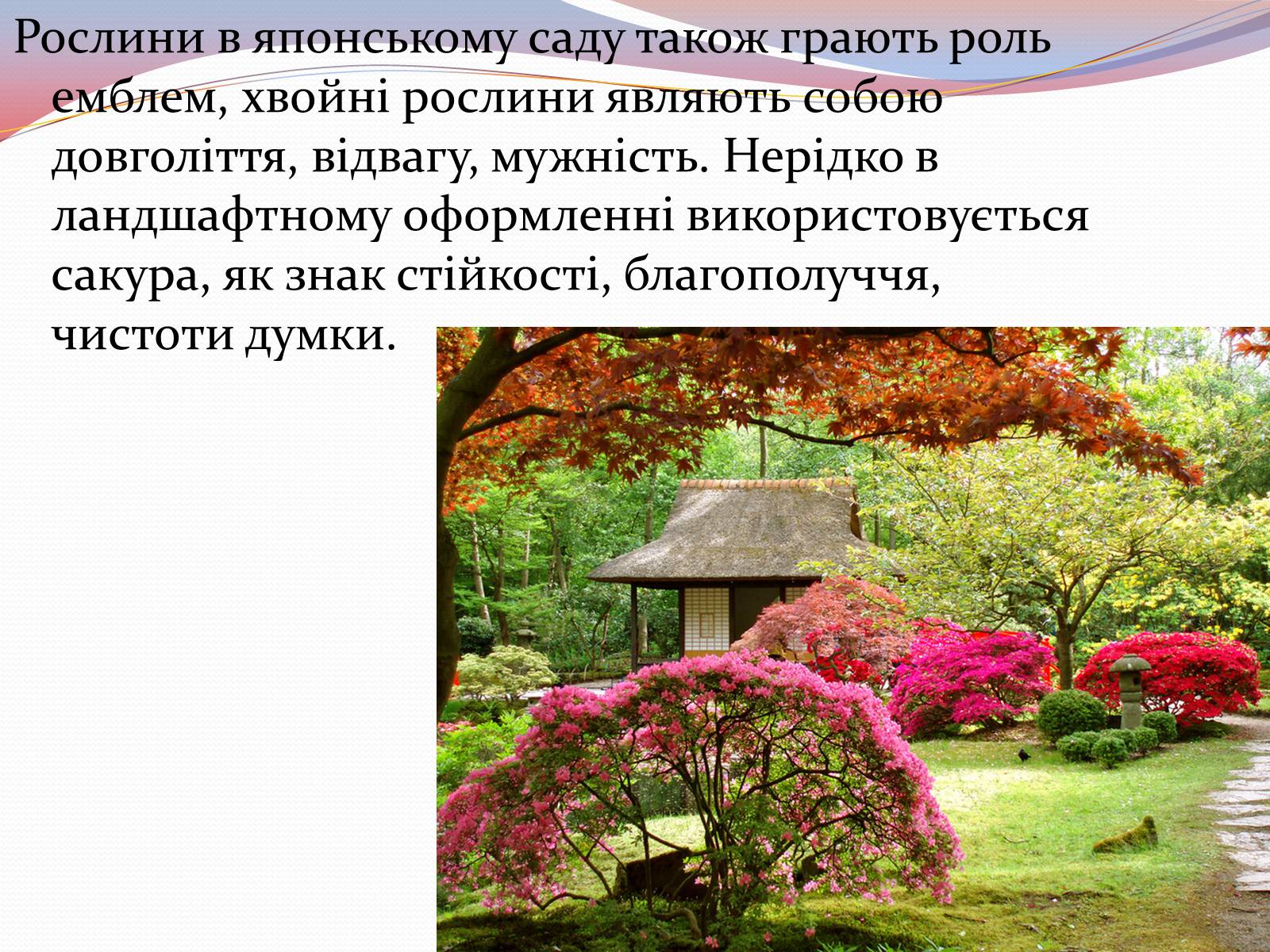 Презентація на тему «Японський ландшафтний сад» (варіант 1) - Слайд #7 Презентація на тему «Японський ландшафтний сад» (варіант 1) - Слайд #7