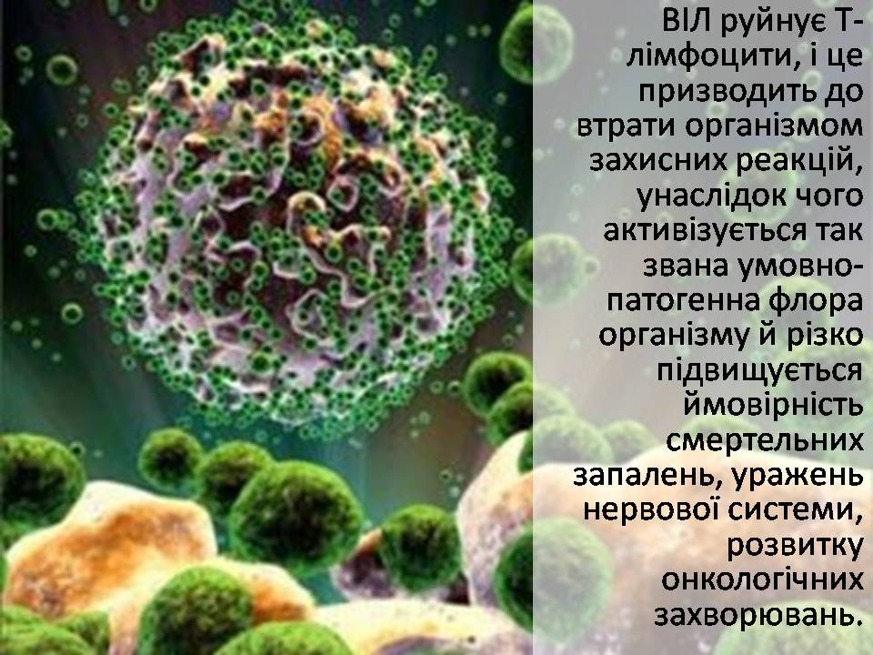 Презентація на тему «Снід» (варіант 21) - Слайд #5 Презентація на тему «Снід» (варіант 21) - Слайд #5