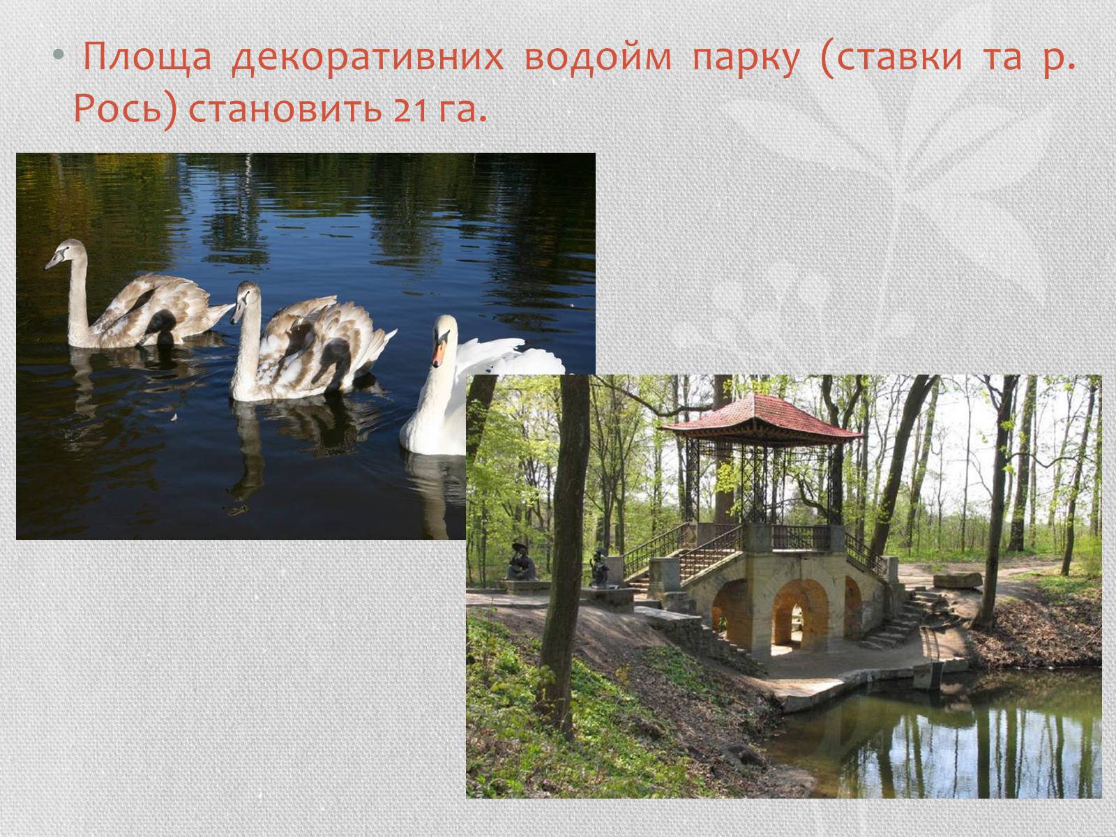 Презентація на тему «Садово-паркове мистецтво» (варіант 1) - Слайд #9 Презентація на тему «Садово-паркове мистецтво» (варіант 1) - Слайд #9