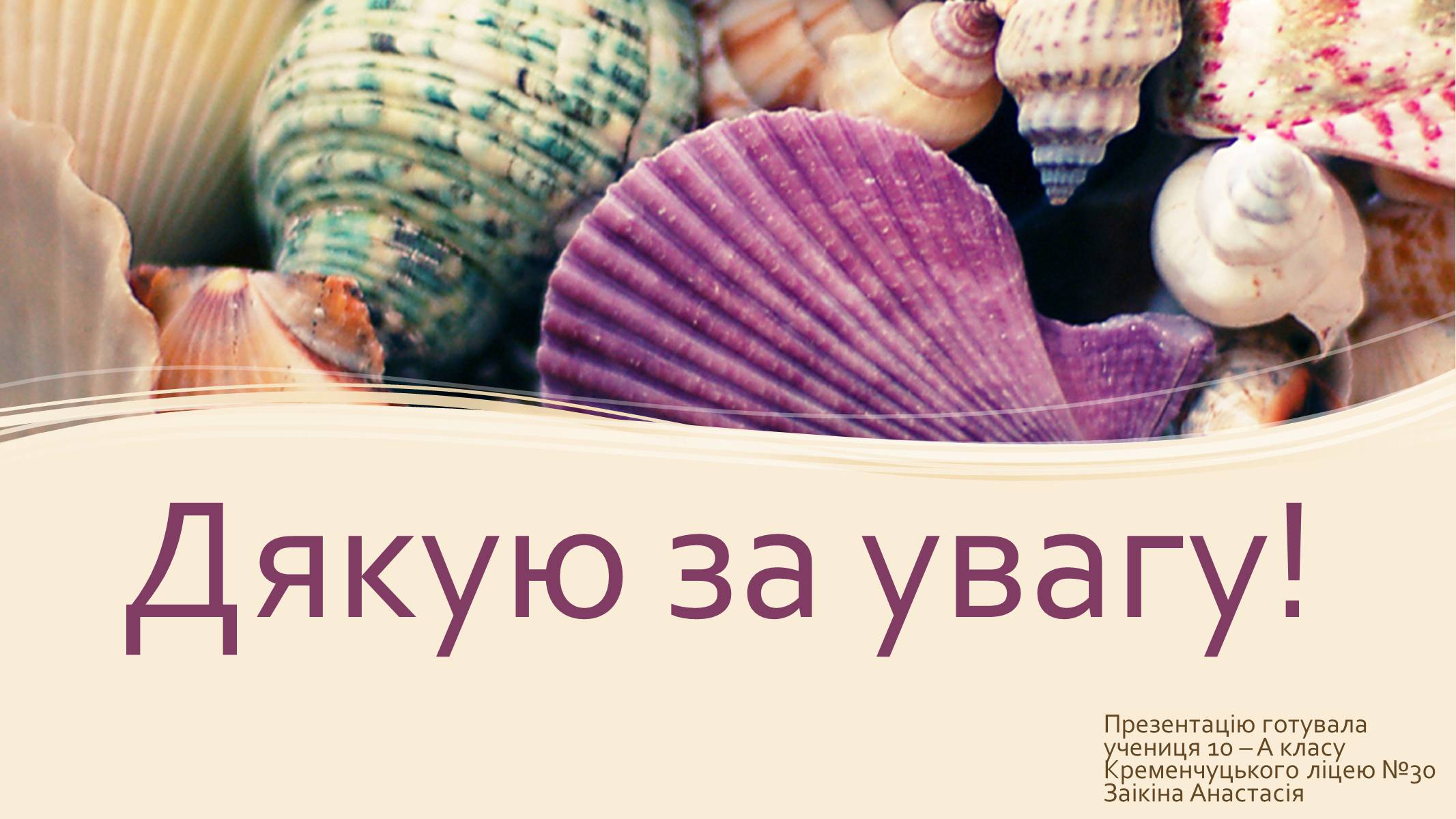 Презентація на тему «Океанографічний музей Монако» - Слайд #13 Презентація на тему «Океанографічний музей Монако» - Слайд #13