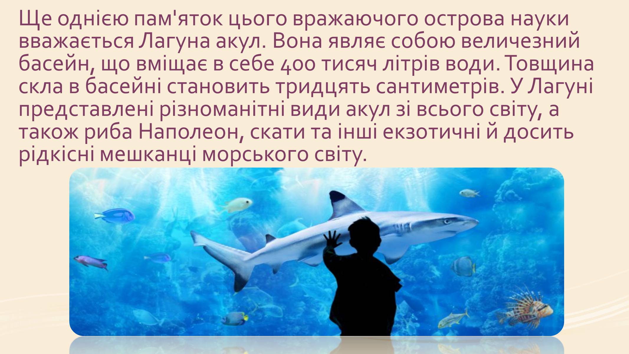 Презентація на тему «Океанографічний музей Монако» - Слайд #8 Презентація на тему «Океанографічний музей Монако» - Слайд #8