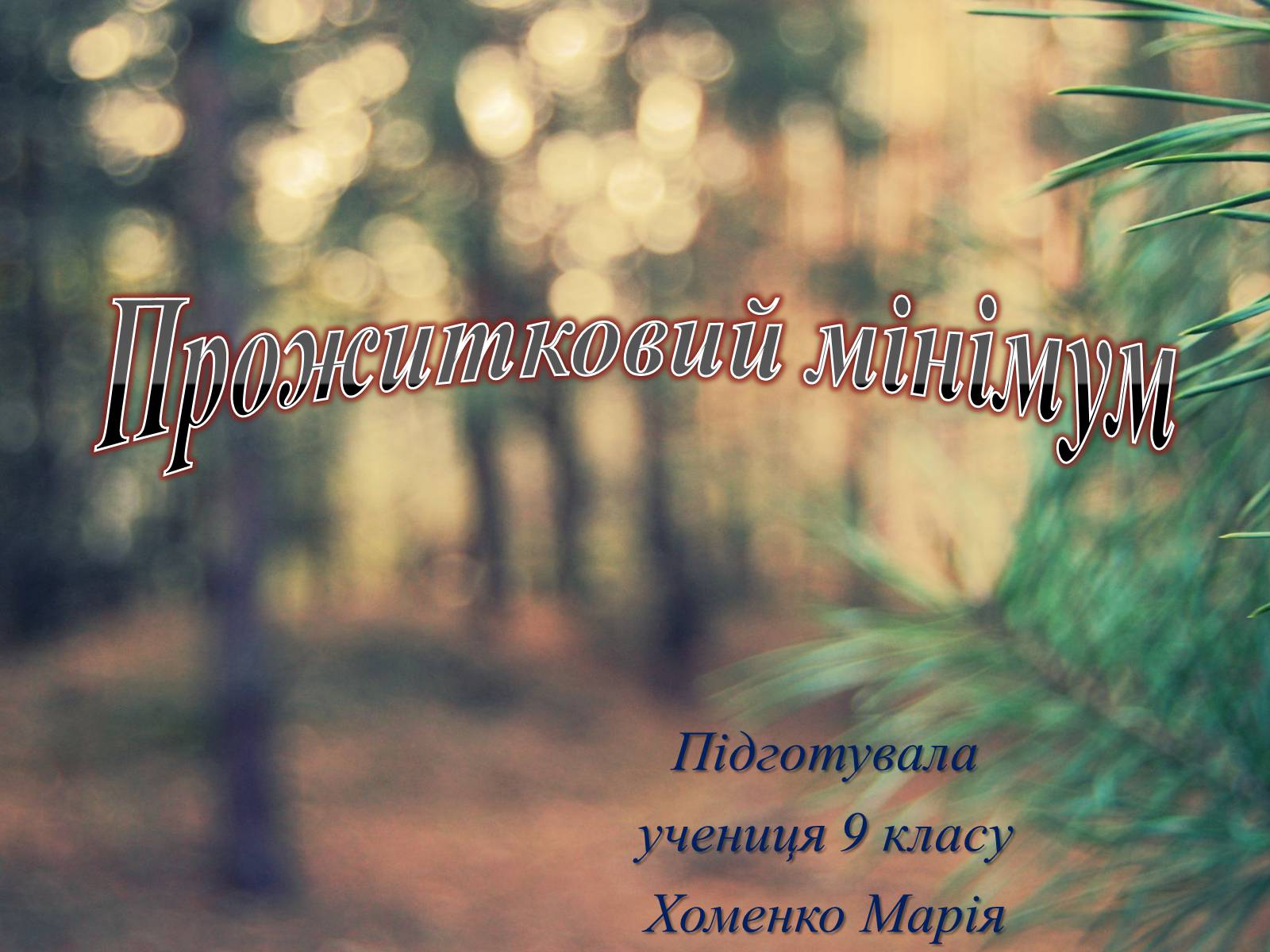 Презентація на тему «Прожитковий мінімум» (варіант 2) - Слайд #1 Презентація на тему «Прожитковий мінімум» (варіант 2) - Слайд #1