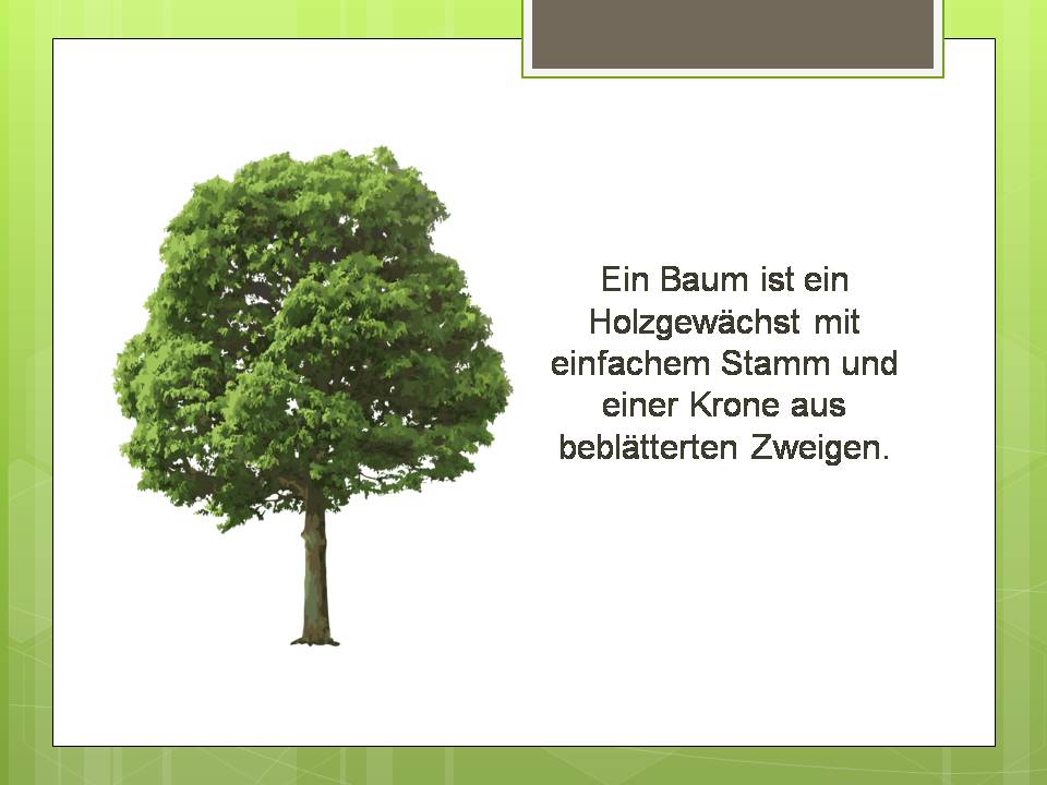 Презентація на тему «Der Baum» - Слайд #2 Презентація на тему «Der Baum» - Слайд #2