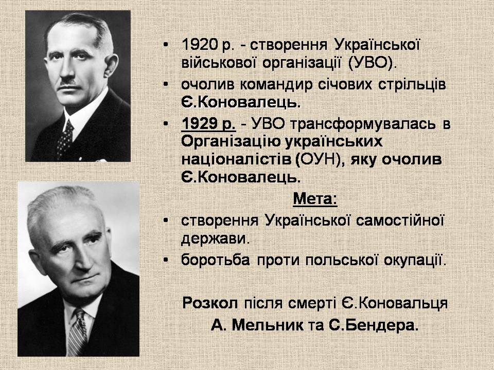 Презентація на тему «Західноукраїнські землі 1921-1939» - Слайд #7 Презентація на тему «Західноукраїнські землі 1921-1939» - Слайд #7