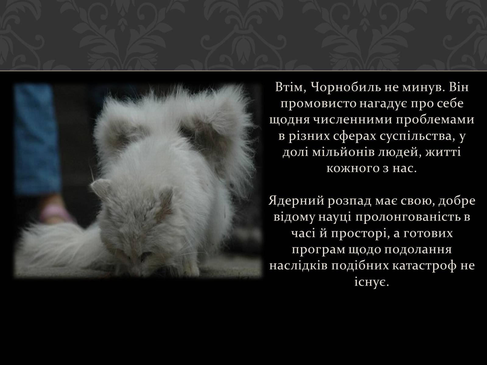 Презентація на тему «Чорнобиль» (варіант 1) - Слайд #19 Презентація на тему «Чорнобиль» (варіант 1) - Слайд #19