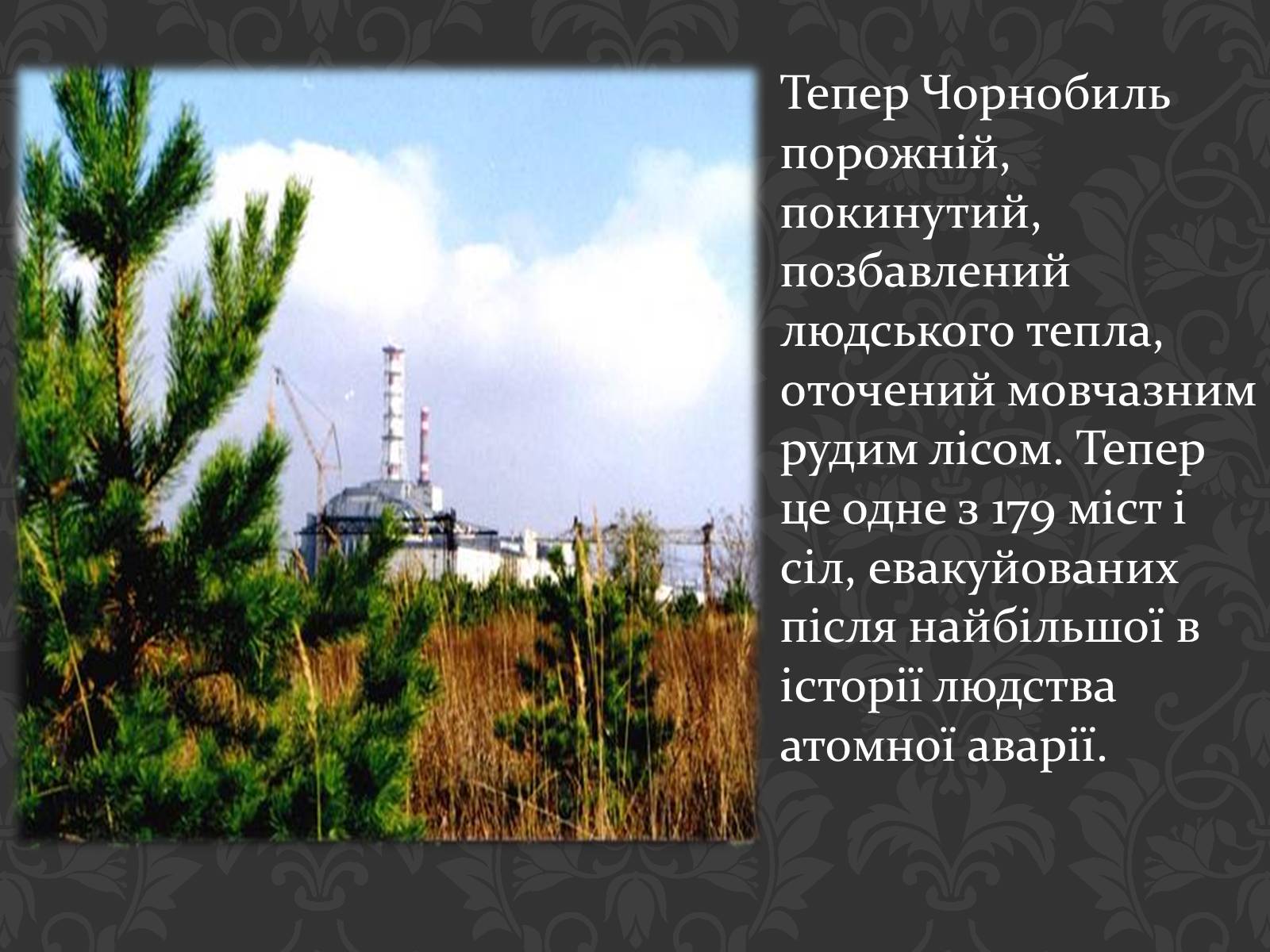 Презентація на тему «Чорнобиль» (варіант 1) - Слайд #3 Презентація на тему «Чорнобиль» (варіант 1) - Слайд #3