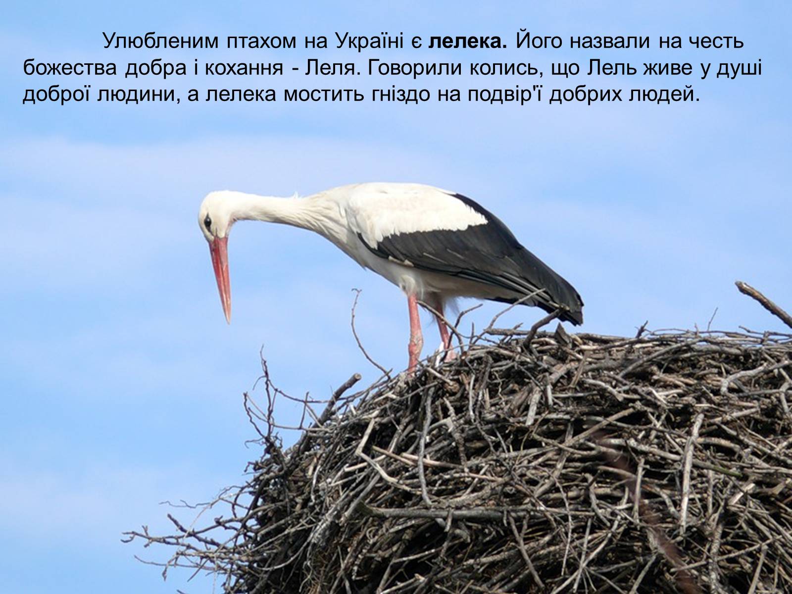 Презентація на тему «Народні символи України» (варіант 1) - Слайд #16 Презентація на тему «Народні символи України» (варіант 1) - Слайд #16
