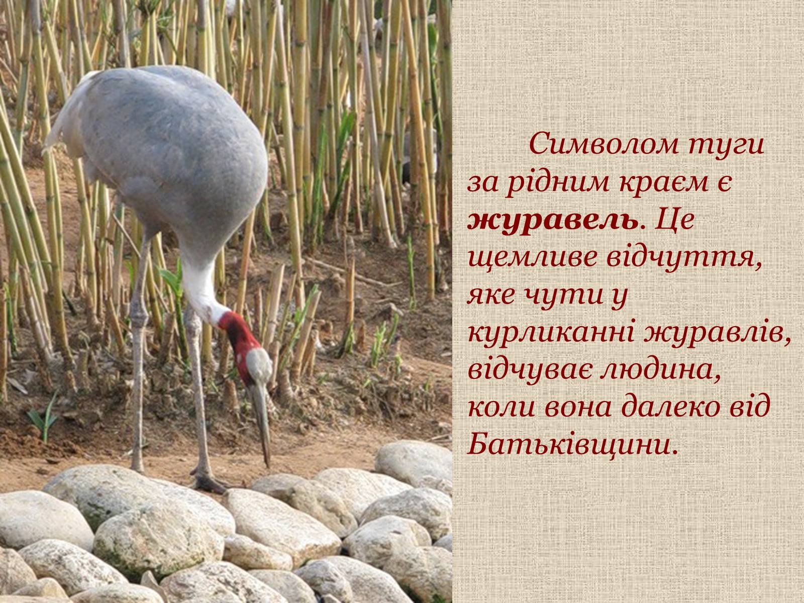 Презентація на тему «Народні символи України» (варіант 1) - Слайд #17 Презентація на тему «Народні символи України» (варіант 1) - Слайд #17