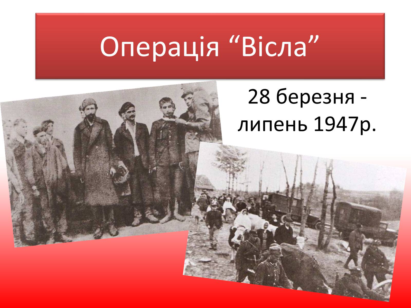 Презентація на тему «Операція “Вісла”» - Слайд #1 Презентація на тему «Операція “Вісла”» - Слайд #1