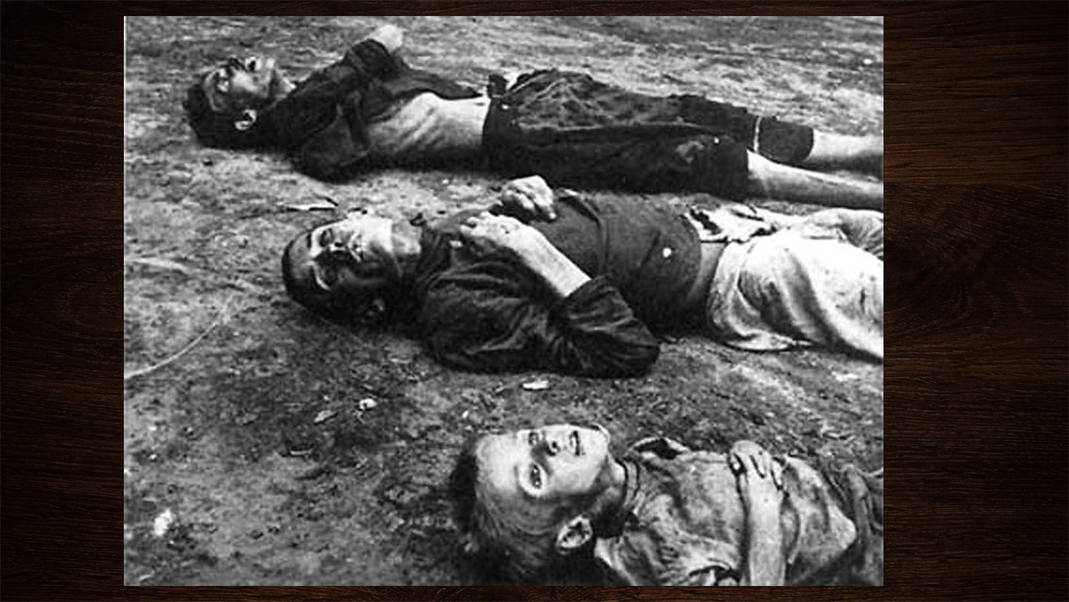 Презентація на тему «Голодомор 1946-1947 років» (варіант 3) - Слайд #14 Презентація на тему «Голодомор 1946-1947 років» (варіант 3) - Слайд #14