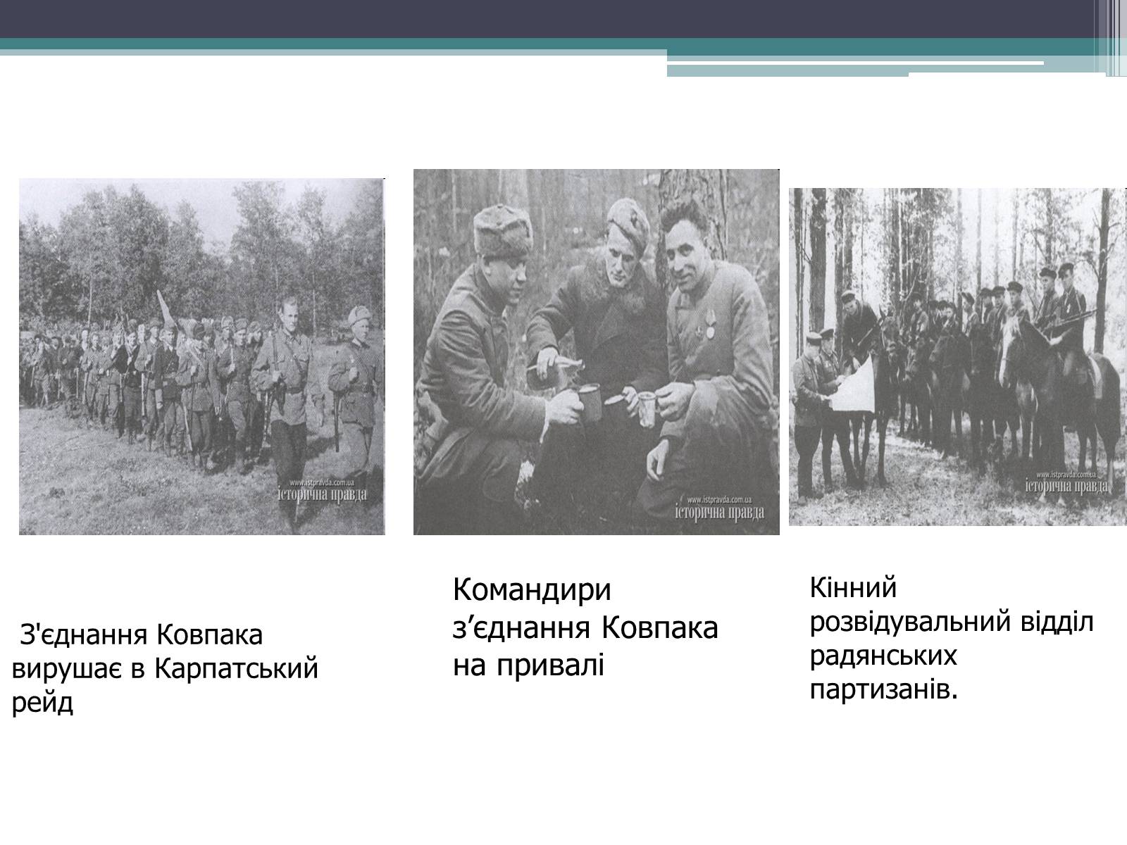Презентація на тему «Рух опору в Україні» (варіант 2) - Слайд #8 Презентація на тему «Рух опору в Україні» (варіант 2) - Слайд #8