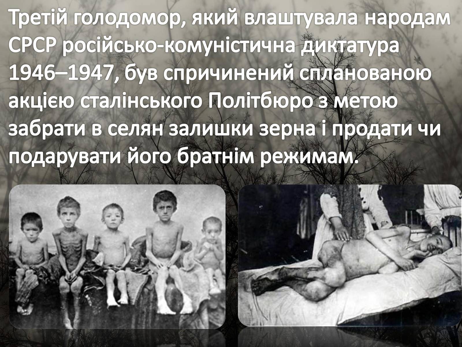 Презентація на тему «Голодомор 1946-1947 років» (варіант 5) - Слайд #2 Презентація на тему «Голодомор 1946-1947 років» (варіант 5) - Слайд #2