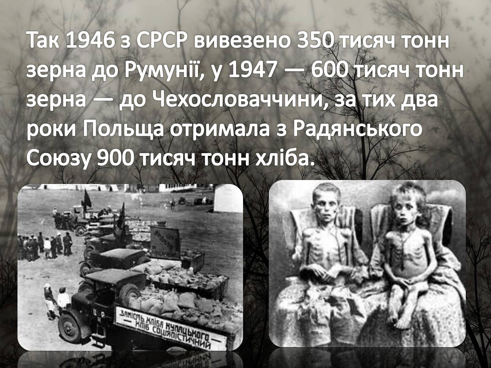 Презентація на тему «Голодомор 1946-1947 років» (варіант 5) - Слайд #3 Презентація на тему «Голодомор 1946-1947 років» (варіант 5) - Слайд #3