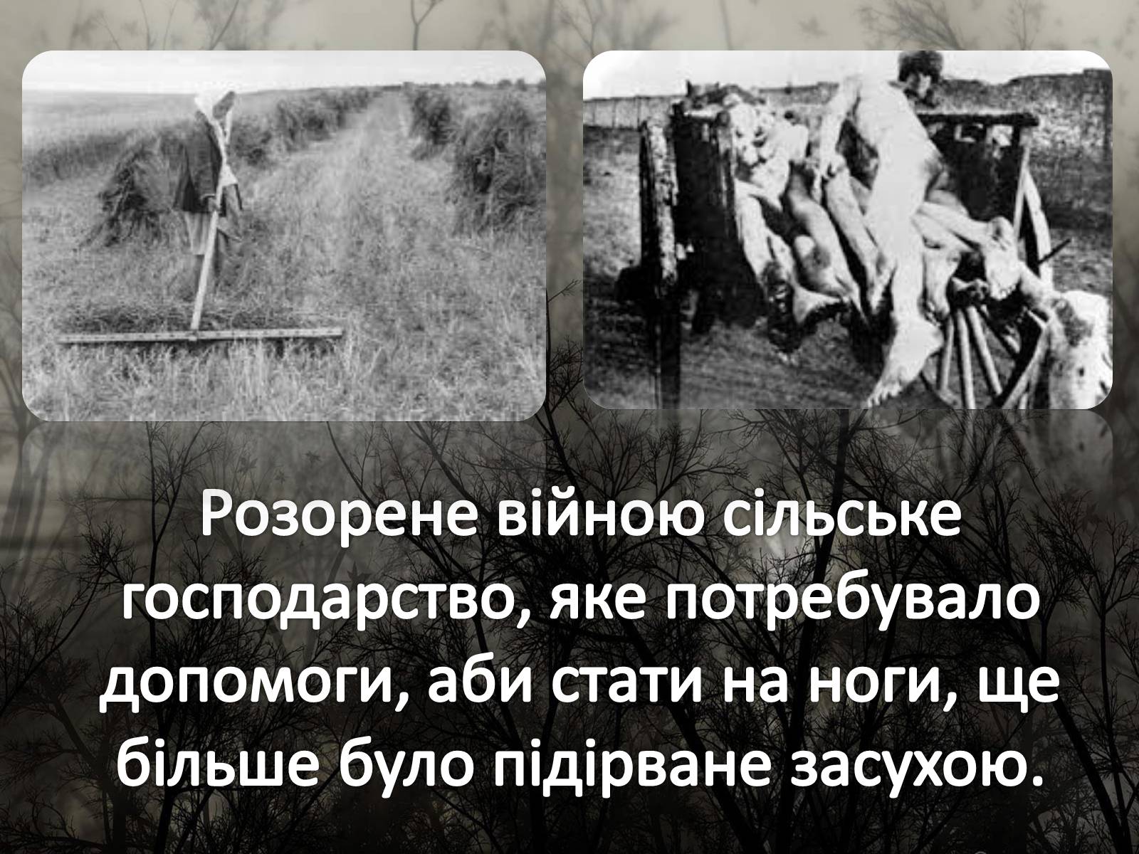 Презентація на тему «Голодомор 1946-1947 років» (варіант 5) - Слайд #5 Презентація на тему «Голодомор 1946-1947 років» (варіант 5) - Слайд #5