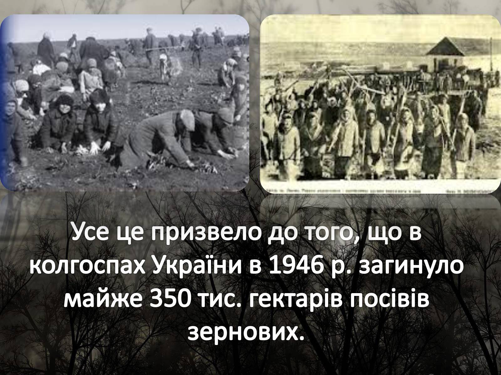 Презентація на тему «Голодомор 1946-1947 років» (варіант 5) - Слайд #6 Презентація на тему «Голодомор 1946-1947 років» (варіант 5) - Слайд #6