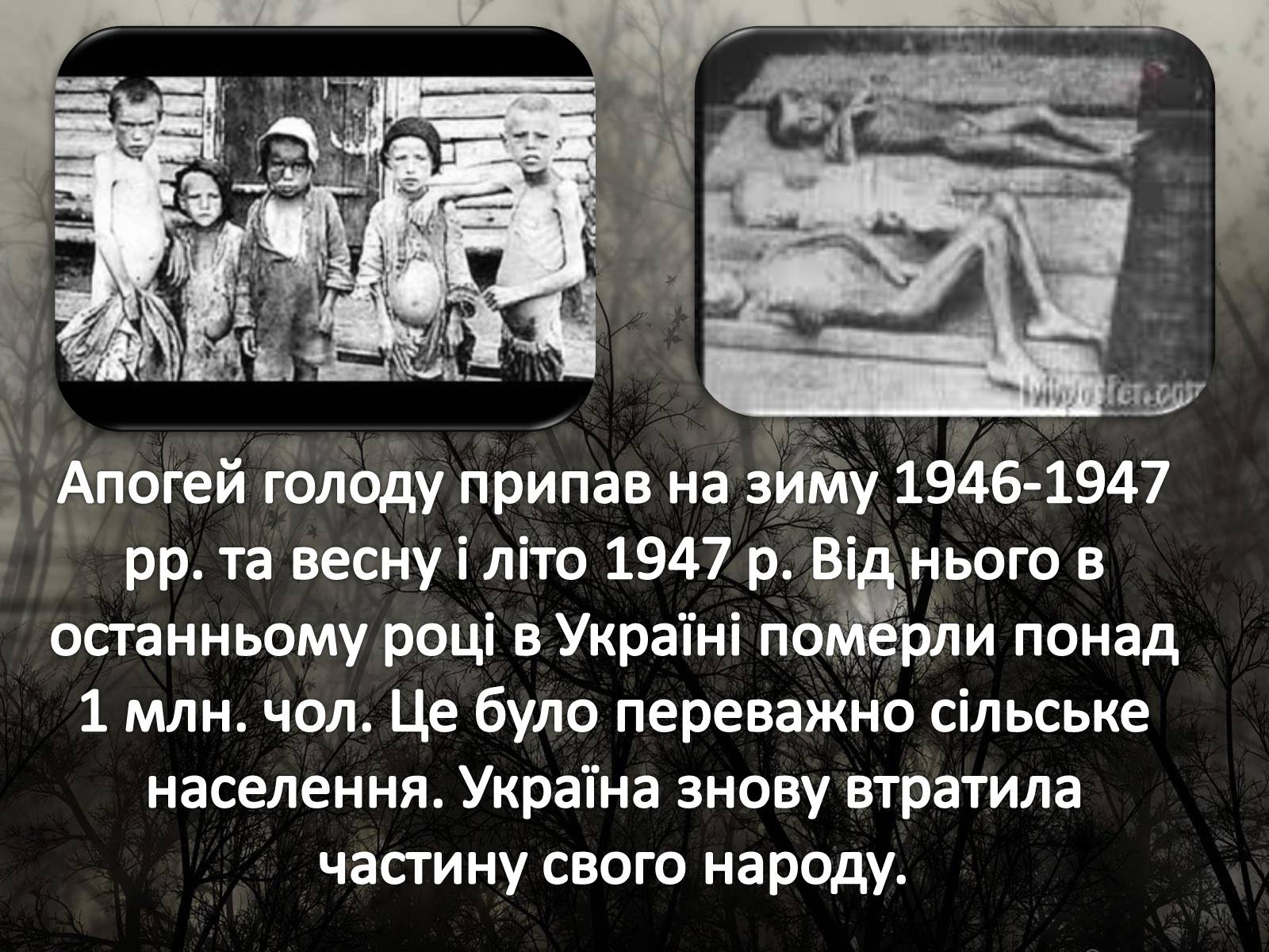 Презентація на тему «Голодомор 1946-1947 років» (варіант 5) - Слайд #9 Презентація на тему «Голодомор 1946-1947 років» (варіант 5) - Слайд #9