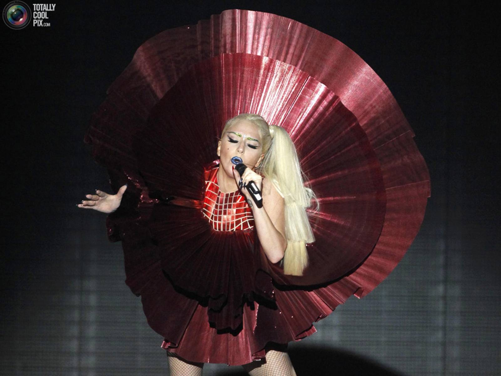 Презентація на тему «Lady Gaga» - Слайд #15 Презентація на тему «Lady Gaga» - Слайд #15