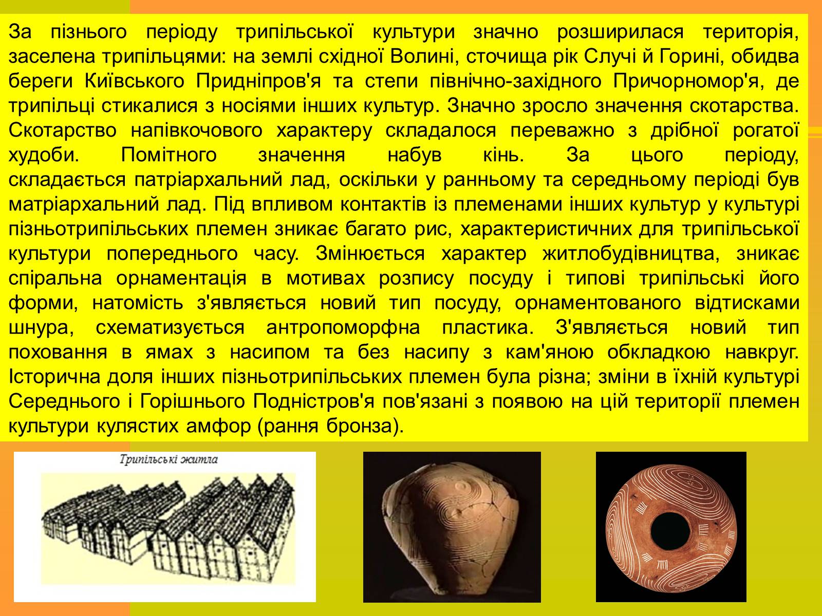 Презентація на тему «Трипільська та Скіфська культури. Іх особливості та відмінності» - Слайд #12 Презентація на тему «Трипільська та Скіфська культури. Іх особливості та відмінності» - Слайд #12