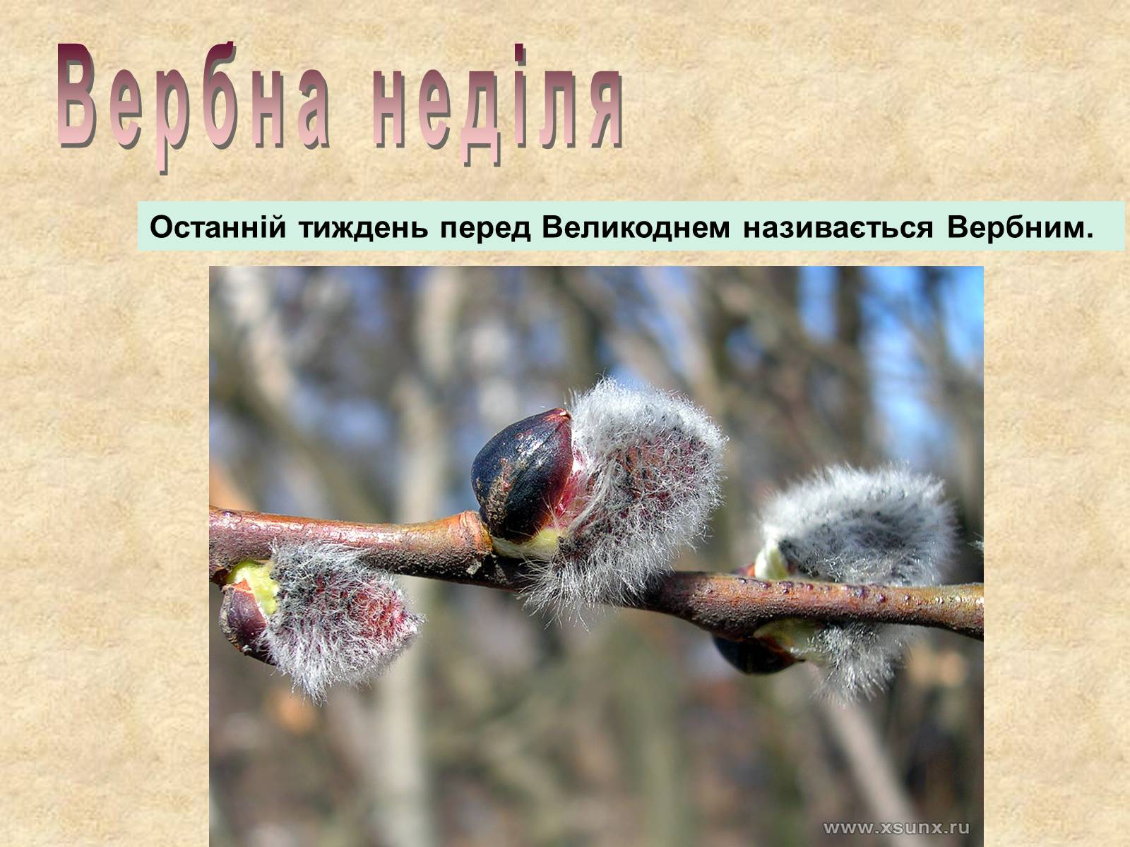 Презентація на тему «Весняні свята на Україні» - Слайд #12 Презентація на тему «Весняні свята на Україні» - Слайд #12