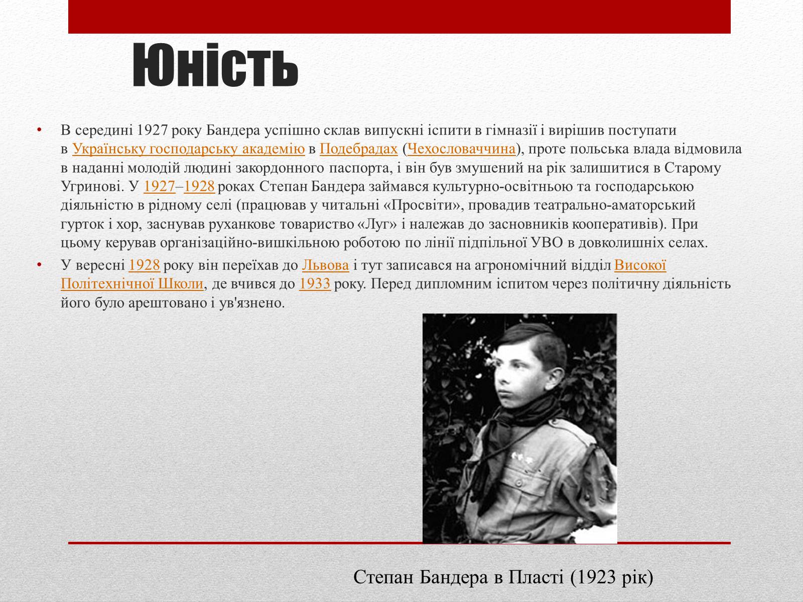 Презентація на тему «Степан Бандера» (варіант 1) - Слайд #5 Презентація на тему «Степан Бандера» (варіант 1) - Слайд #5