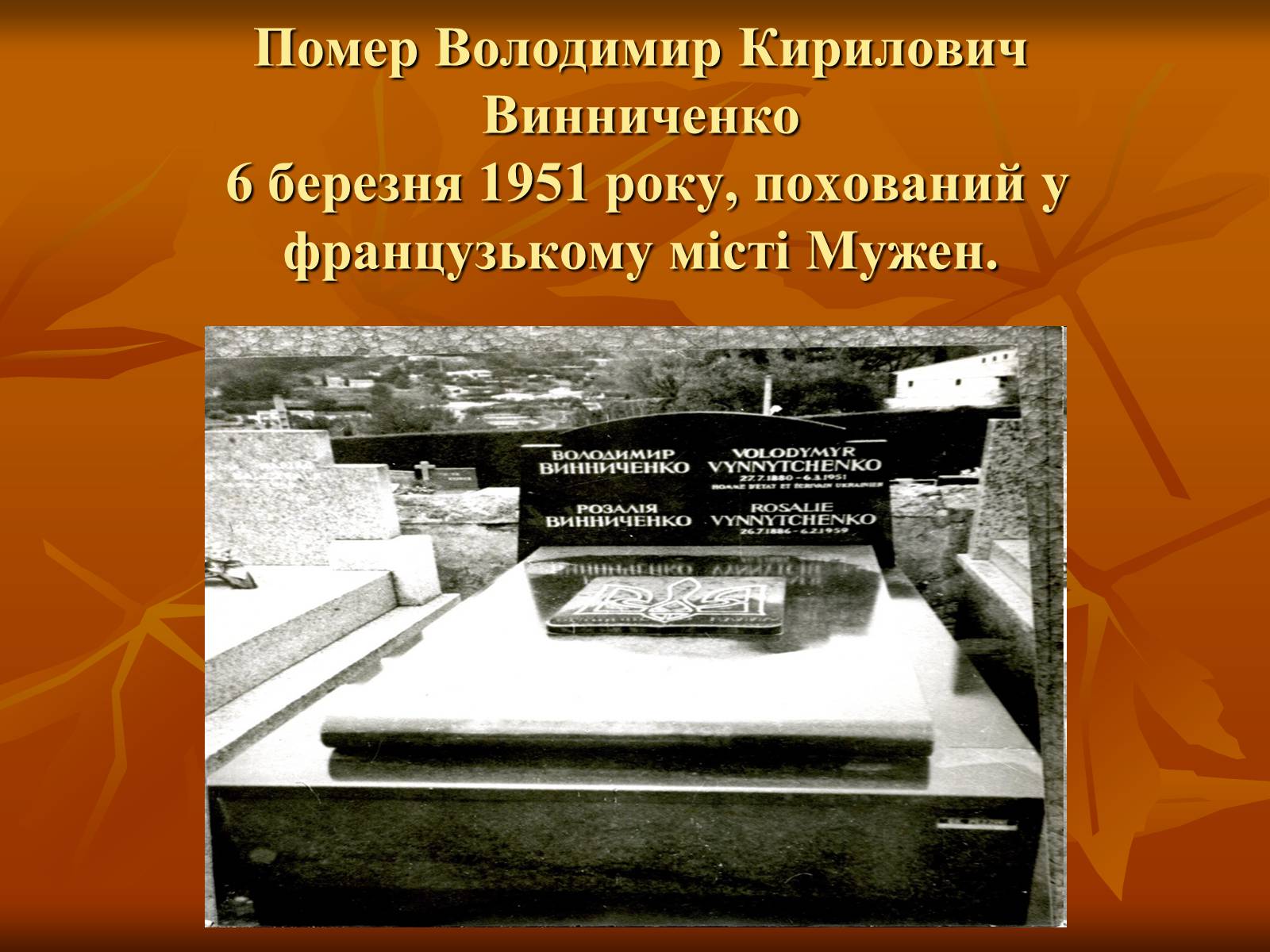 Презентація на тему «Діяльність Володимира Винниченка» - Слайд #14 Презентація на тему «Діяльність Володимира Винниченка» - Слайд #14