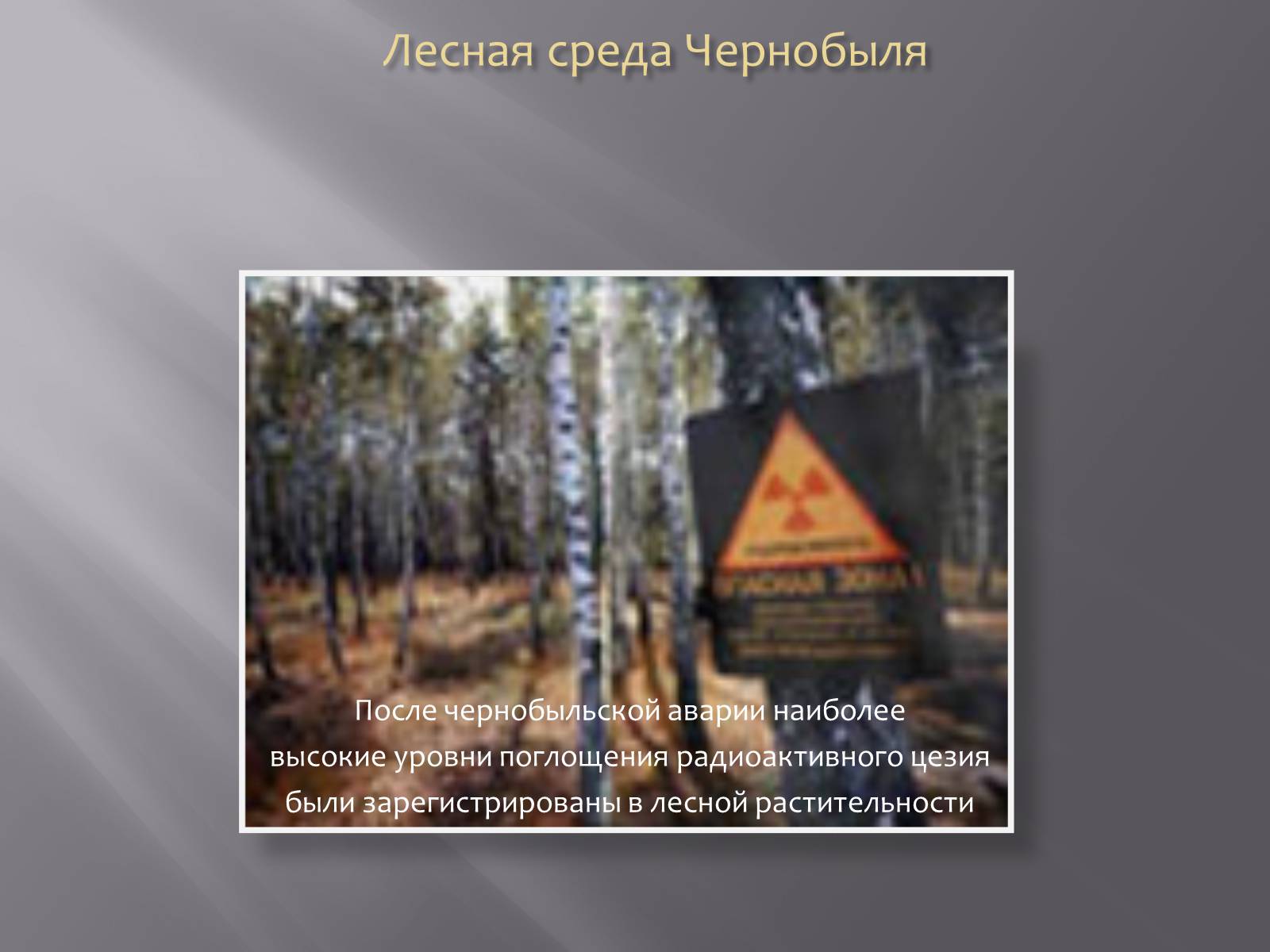 Презентація на тему «Авария на Чернобыльской атомной электростанции» - Слайд #11 Презентація на тему «Авария на Чернобыльской атомной электростанции» - Слайд #11